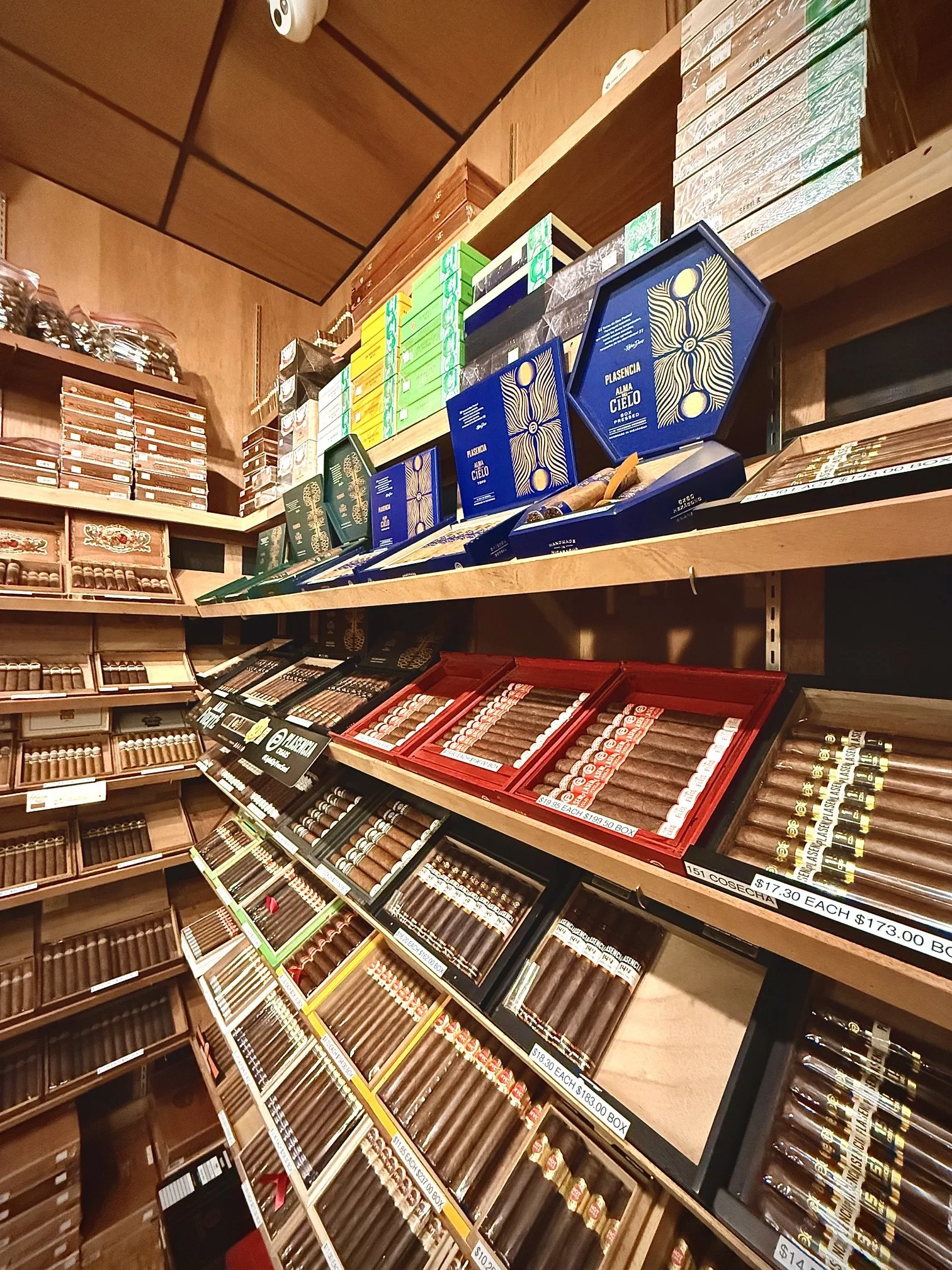 The-Smoke-Ring-Webster-TX-humidor-plasencia-picture.jpeg