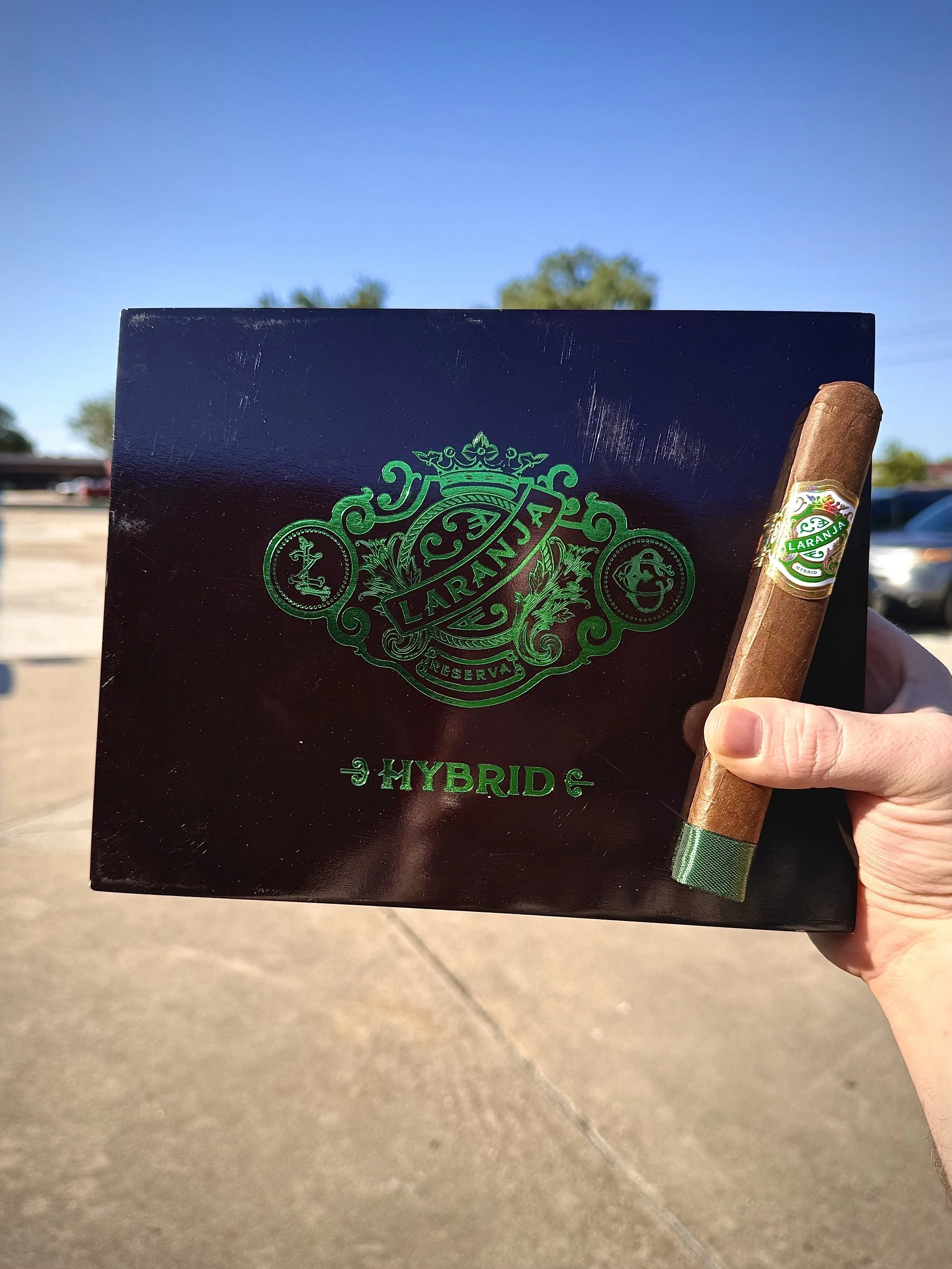 Espinosa - Laranja Hybrid