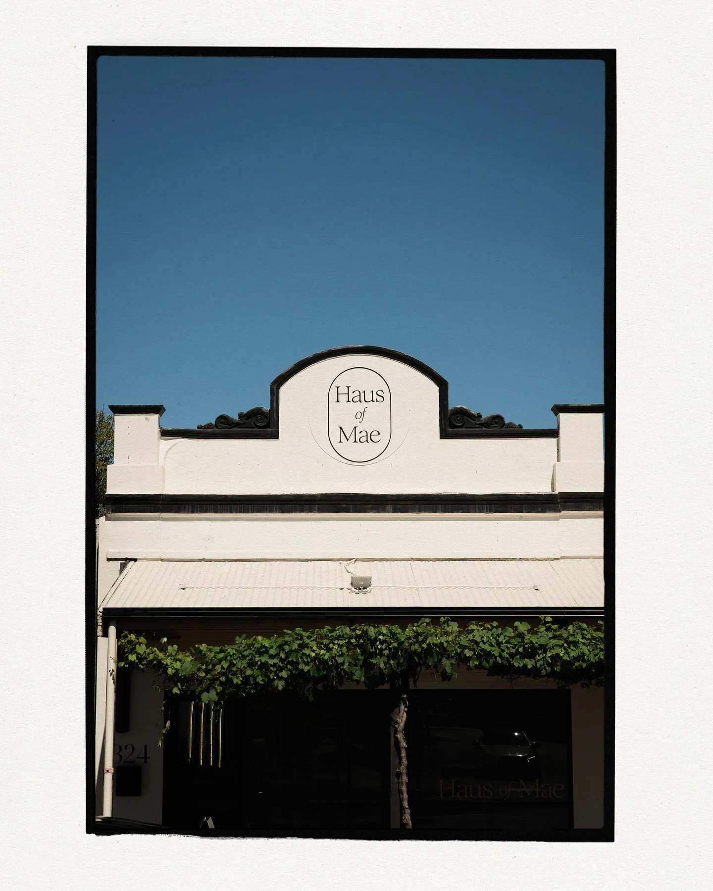 Haus of Mae branding sitting pretty on Unley Road 🤎