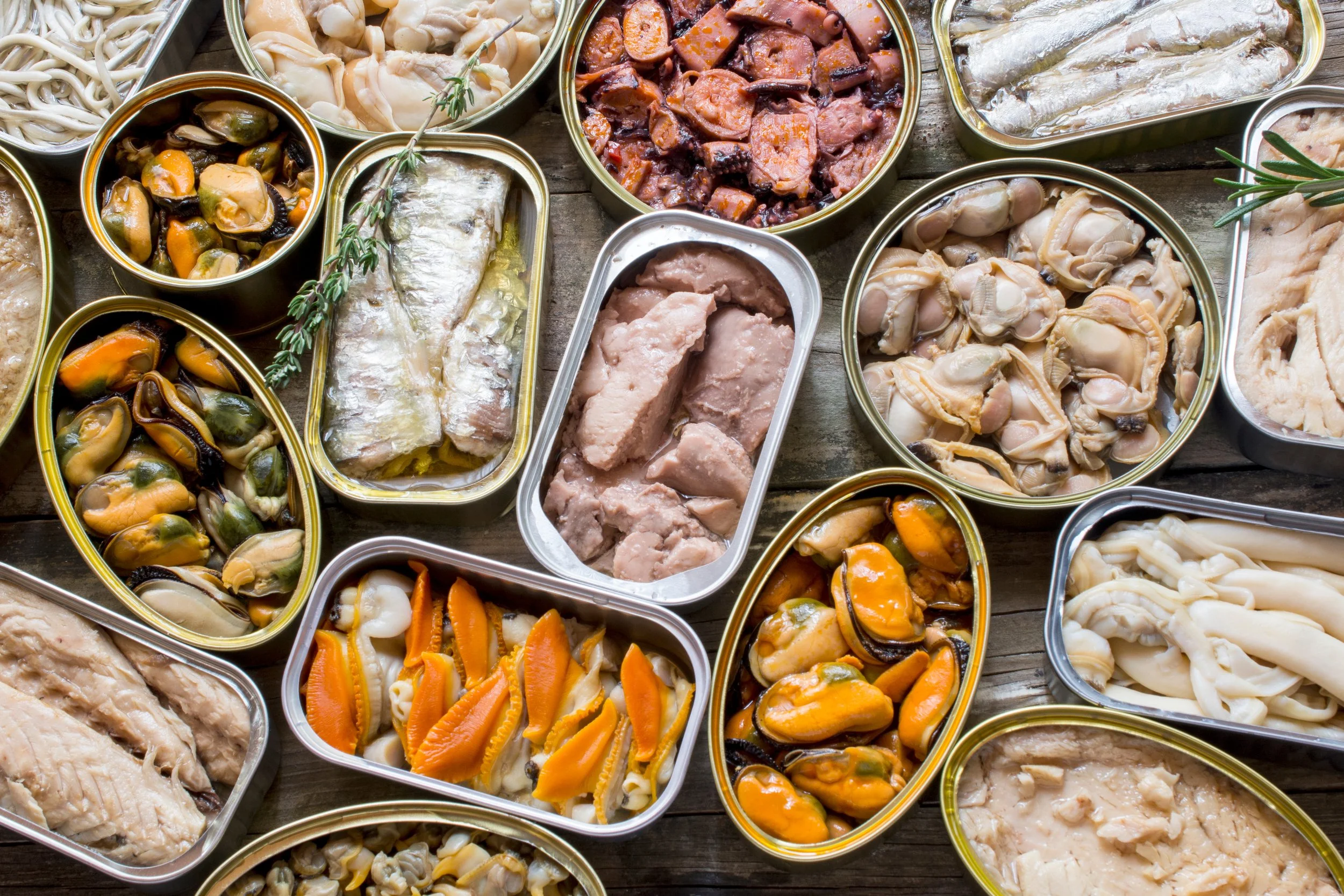 Newsletter: The Big Business of Tiny Fish