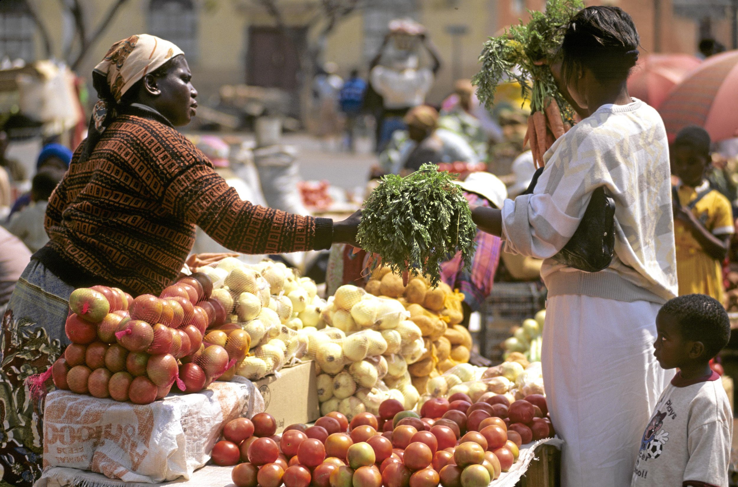 Newsletter: Unlicensed Farms Shield Zimbabwe from Ukraine War-Induced Hunger