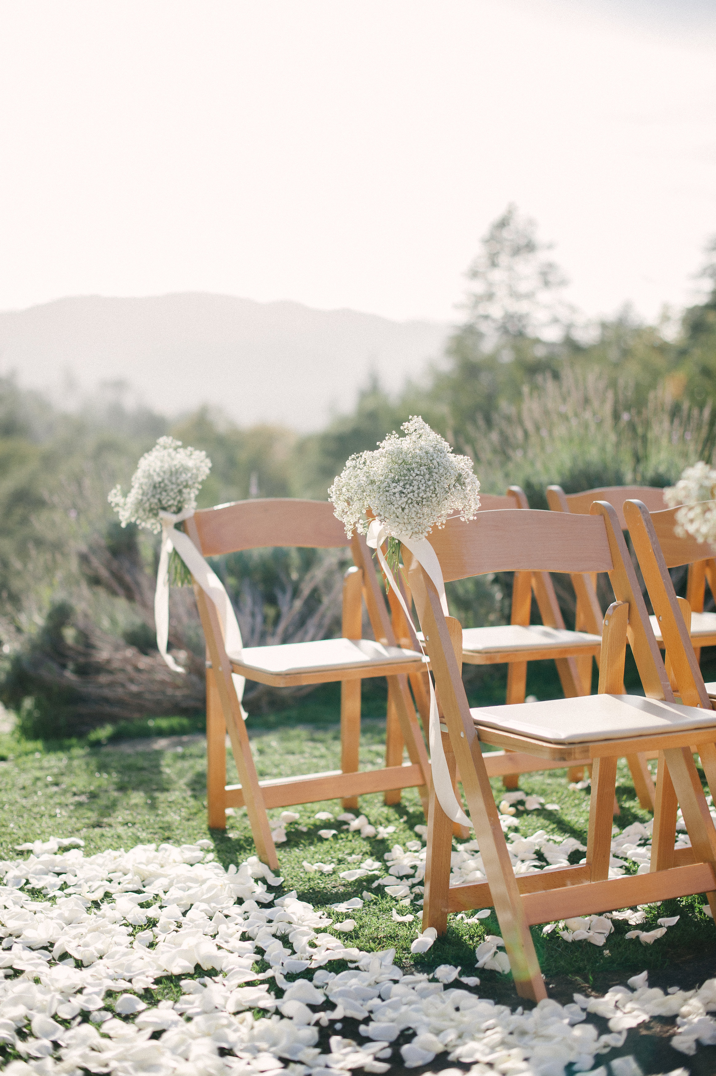 Larissa Cleveland Photography