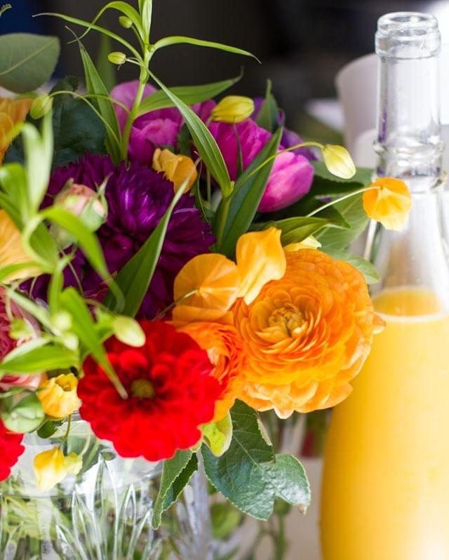 Juicy color pop + mimosas 🧡🥂⠀⠀⠀⠀⠀⠀⠀⠀⠀
Planner @morganevents⠀⠀⠀⠀⠀⠀⠀⠀⠀
Photographer @mollylandreth ⠀⠀⠀⠀⠀⠀⠀⠀⠀
&bull;⠀⠀⠀⠀⠀⠀⠀⠀⠀
&bull;⠀⠀⠀⠀⠀⠀⠀⠀⠀
&bull;⠀⠀⠀⠀⠀⠀⠀⠀⠀
&bull;⠀⠀⠀⠀⠀⠀⠀⠀⠀
&bull;⠀⠀⠀⠀⠀⠀⠀⠀⠀
&bull;⠀⠀⠀⠀⠀⠀⠀⠀⠀
&bull;⠀⠀⠀⠀⠀⠀⠀⠀⠀
&bull; ⠀⠀⠀⠀⠀⠀⠀⠀⠀
#centerpiece