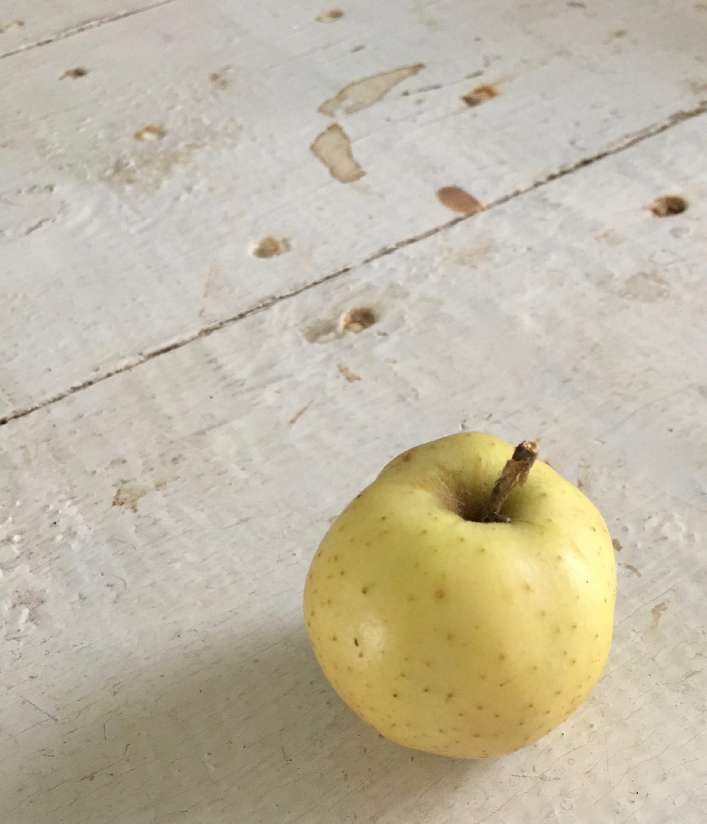 ice apple.jpg