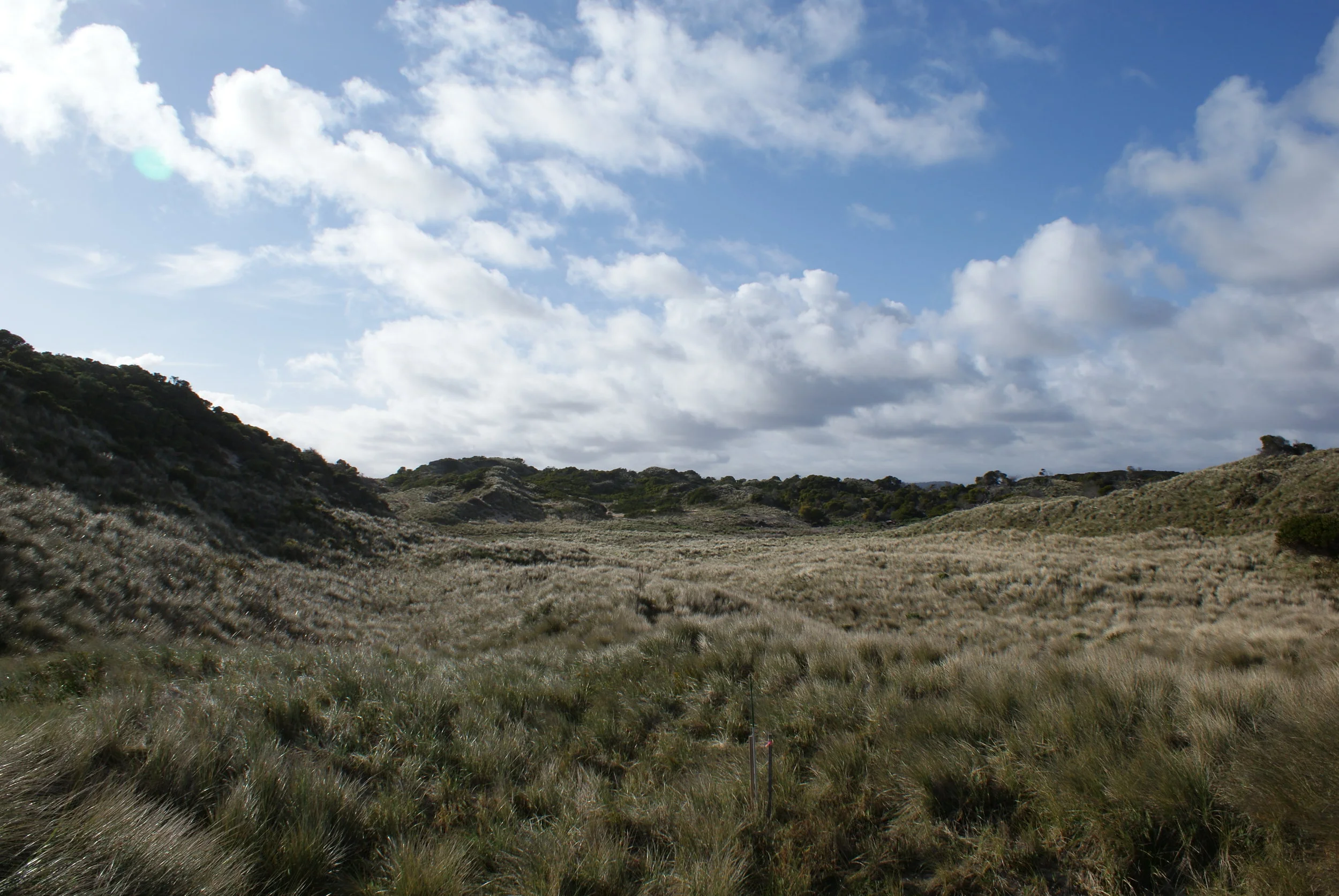 no. 15 green - before construction