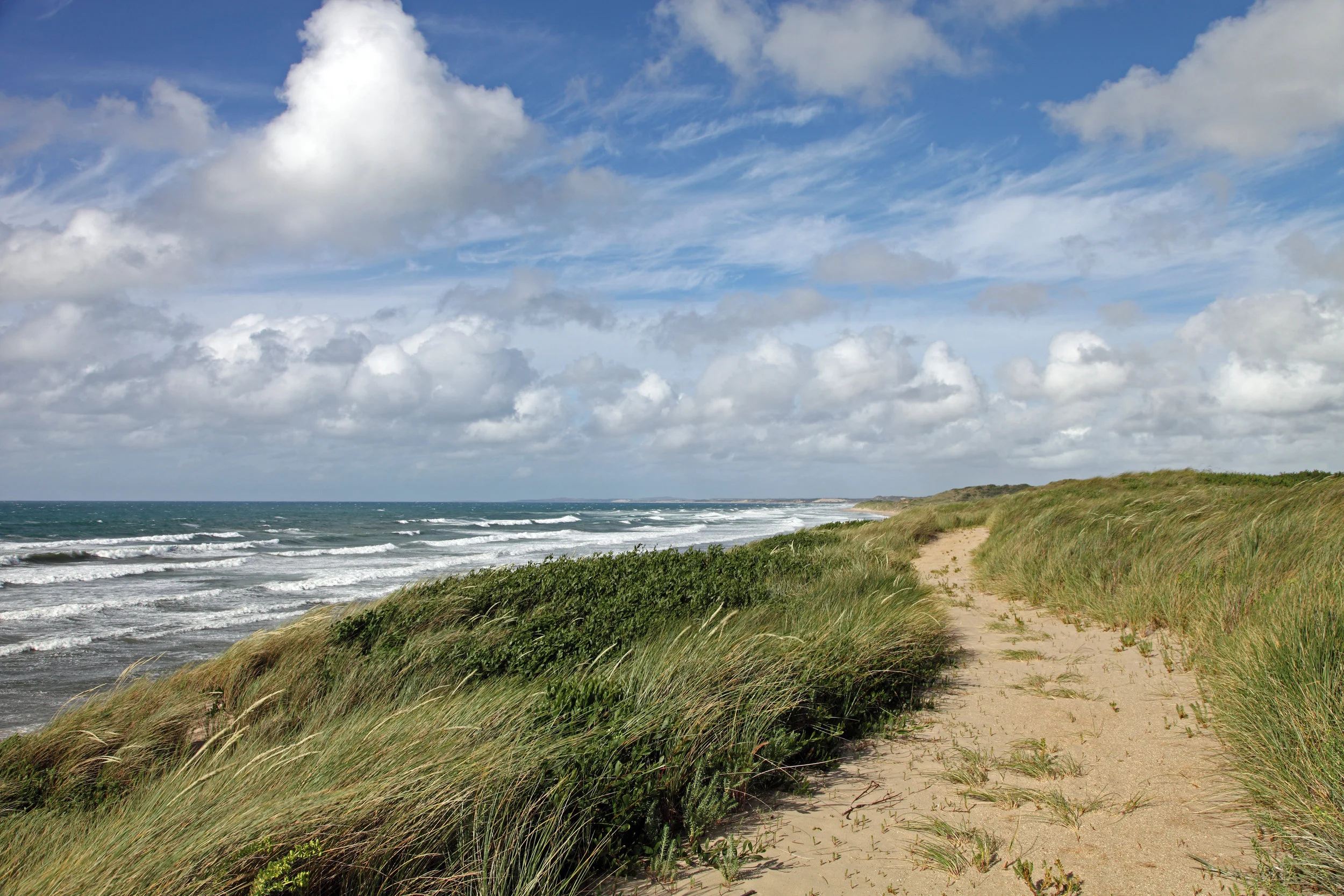 beach path