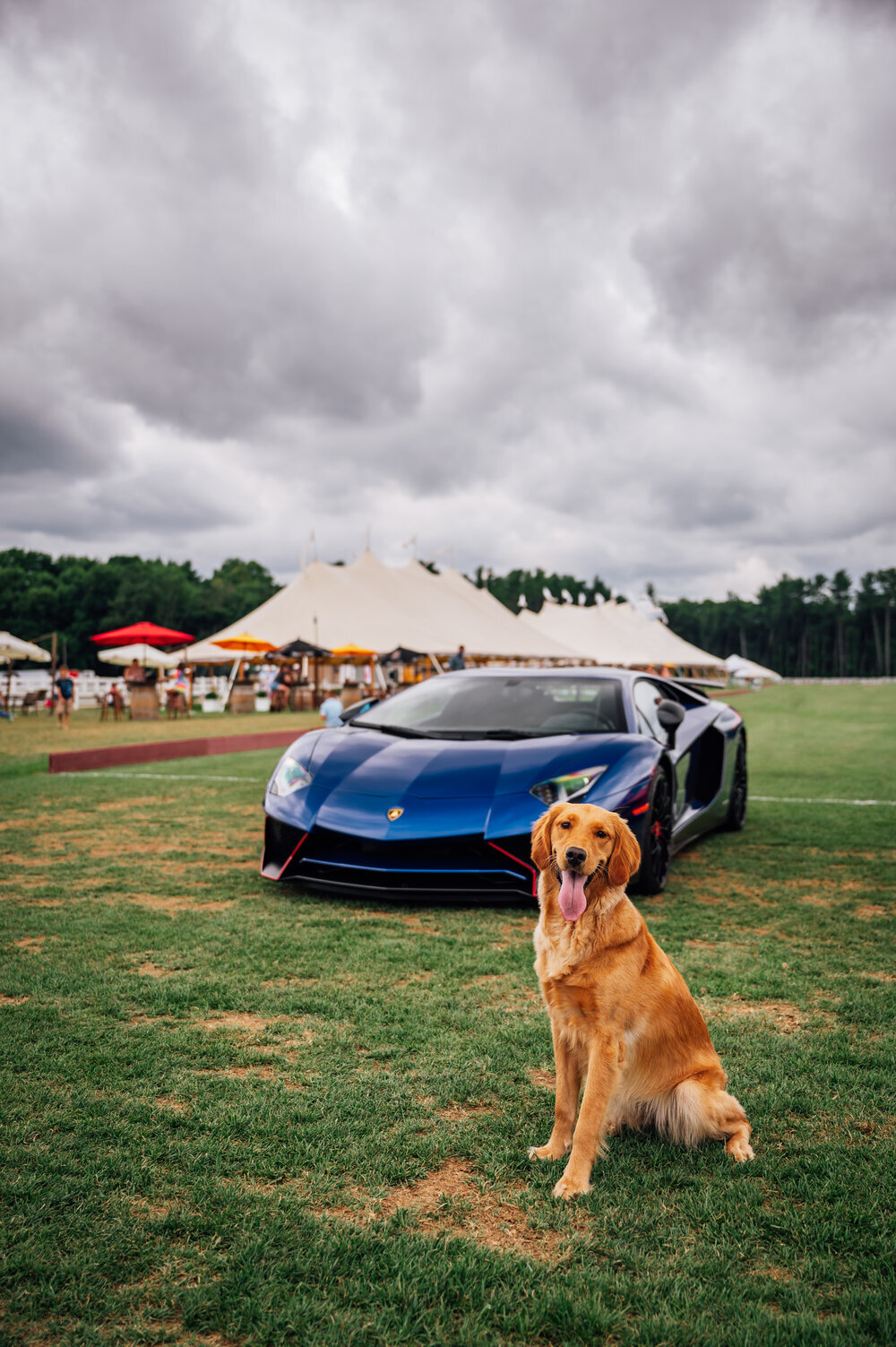Greenwich Cars &amp; Coffee x Farmington Polo Club