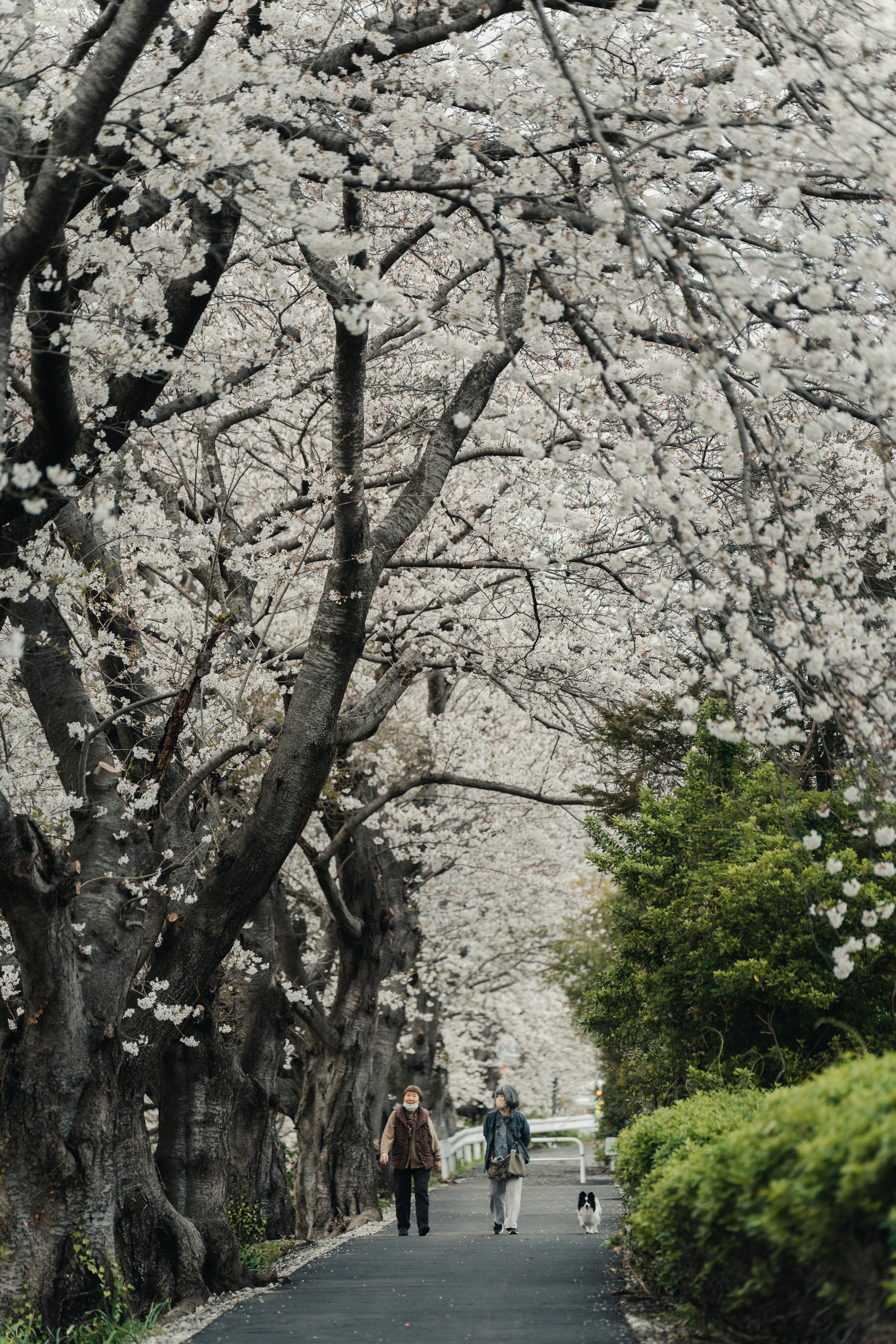 HQH00783-Edit.jpg