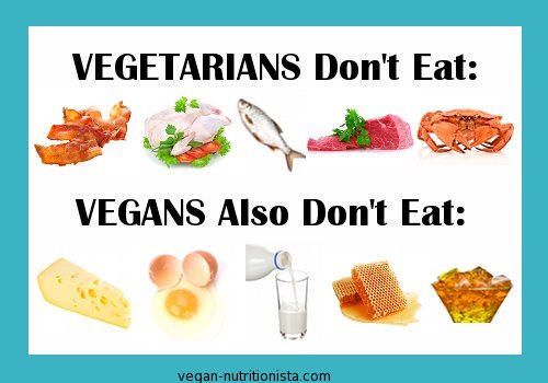 Vegetarian versus Vegan