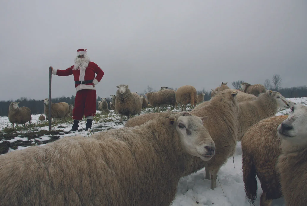 Le Père Noël garde ses moutons