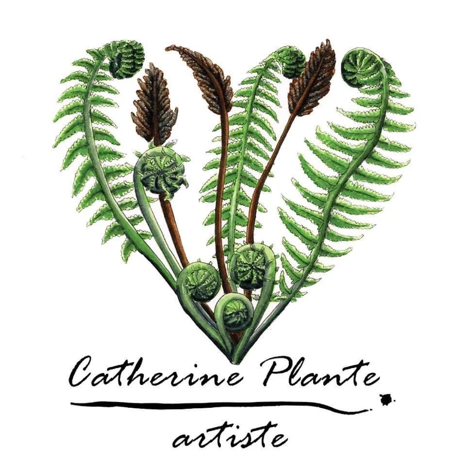 Catherine Plante artiste