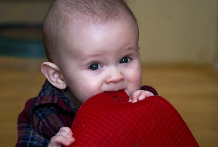 Why Do Children Bite? — Coastlands Preschool