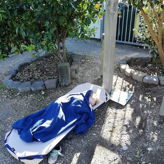 What a lovely place to have an afternoon nap! 
#coastlands #preschool #coastlandspreschool #earlylearning #ece #whakatanesmostspaciouspreschool #learningthroughplay #childledlearning #nature