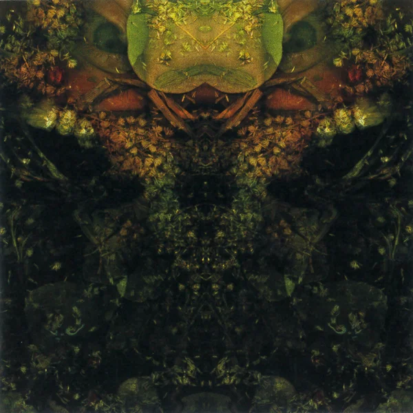 HOUSE OF LOW CULTURE