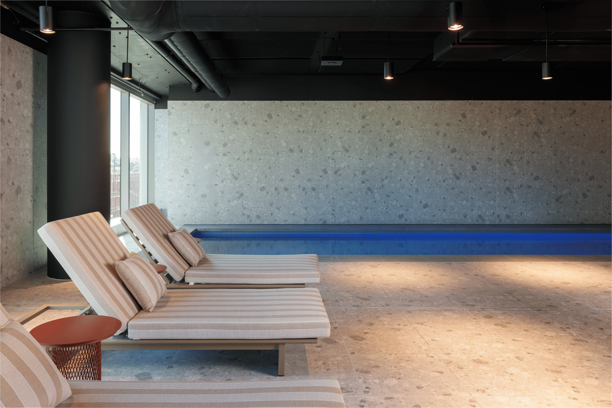 Untitled design (3).png