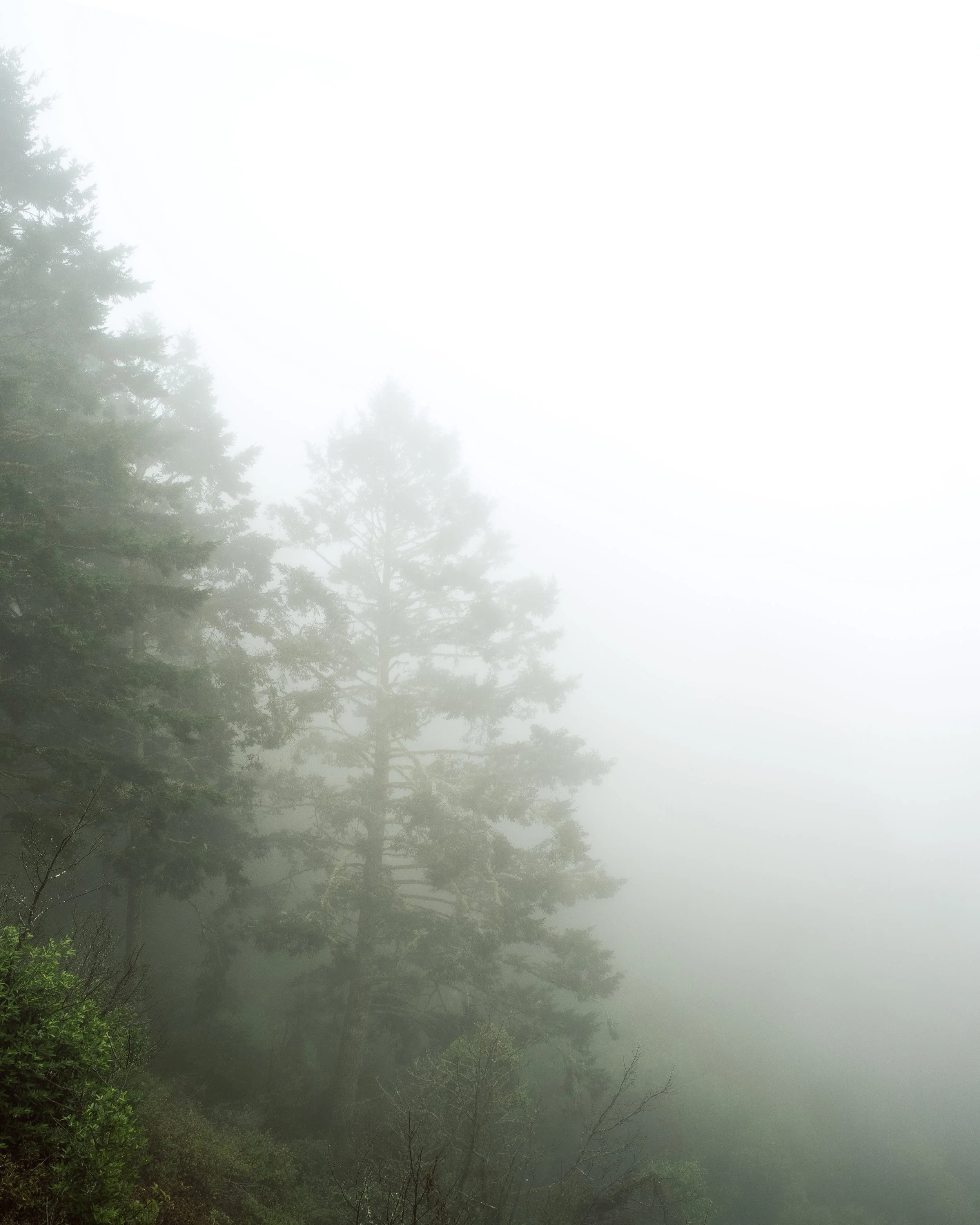 Pt Reyes_Panorama-10-2.jpg