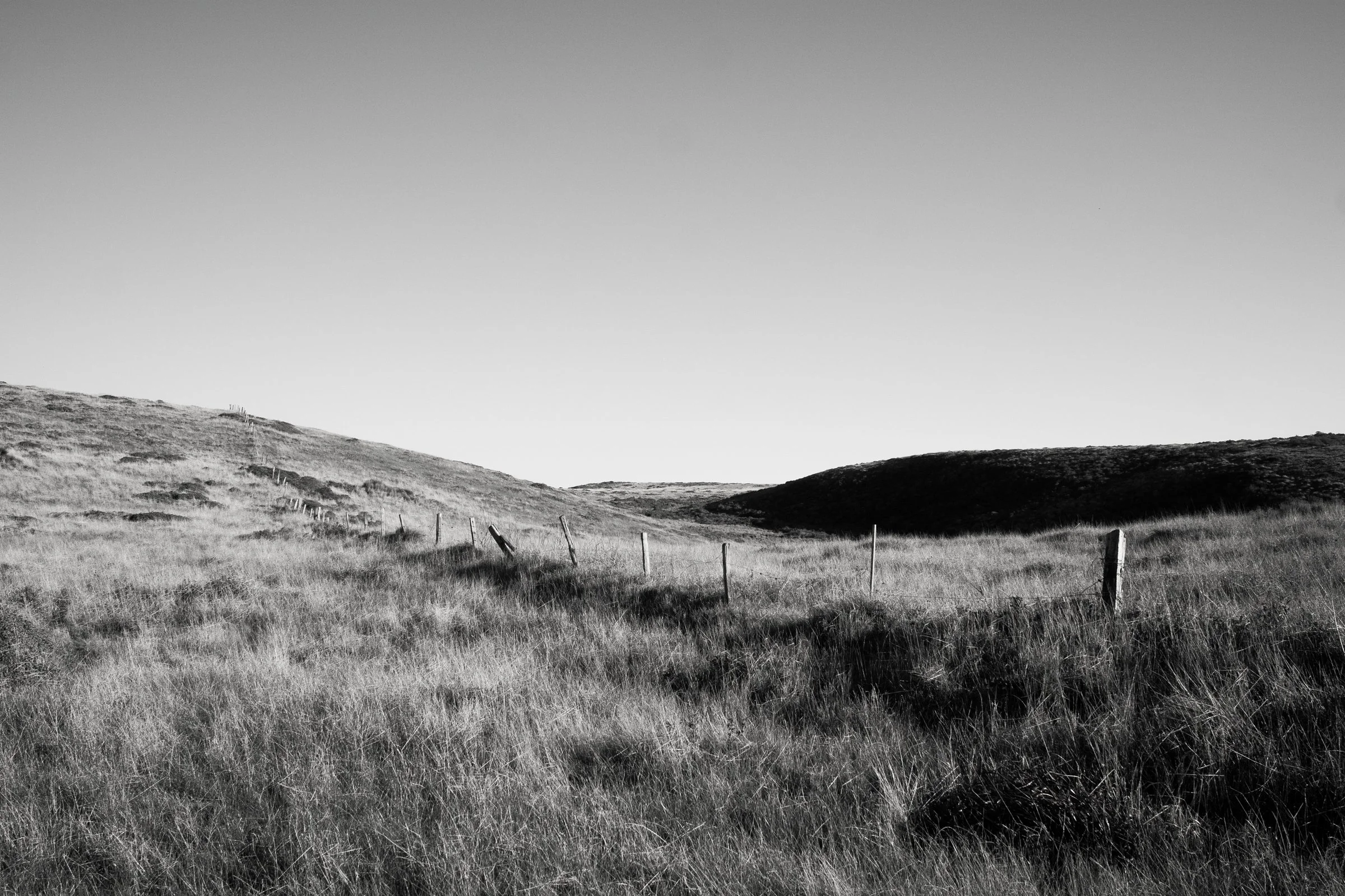_DSC6088.jpg