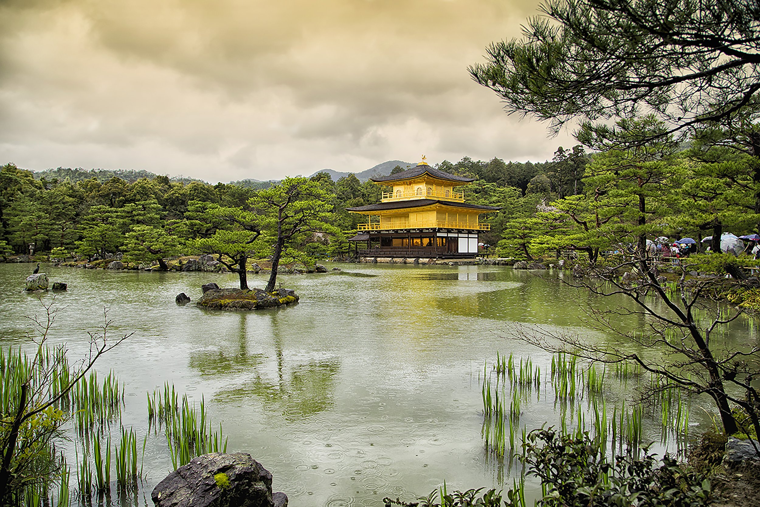 Japan In Spring