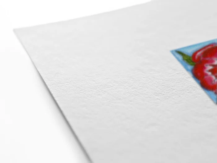 PaperTexture_entry9.jpg