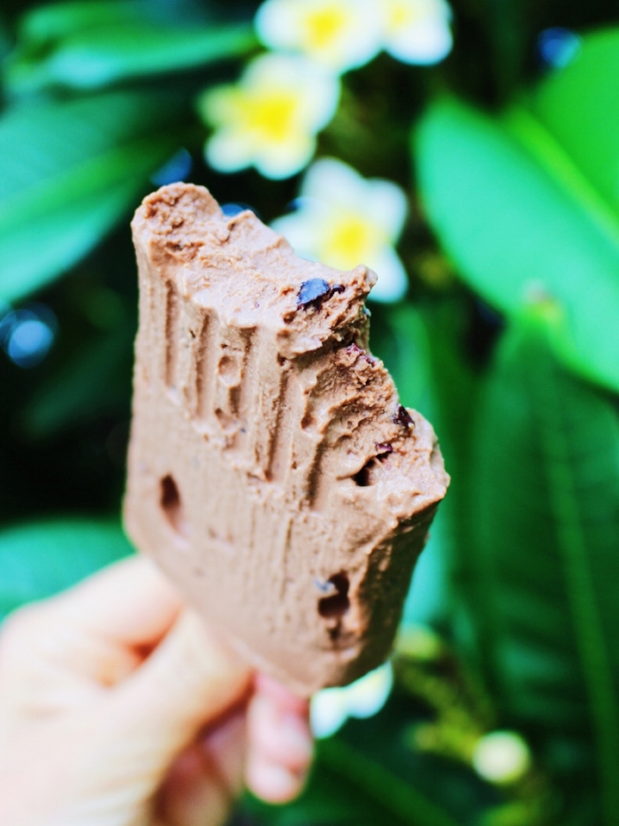 Vegan/OMS choc-chip paddle pop