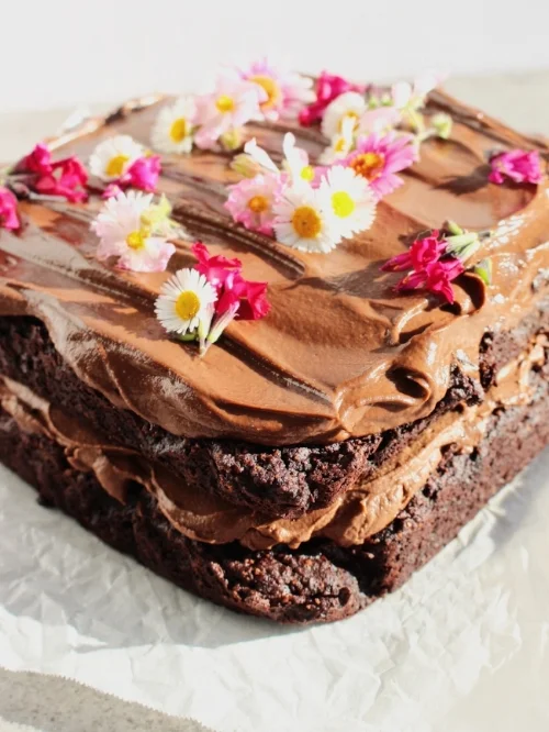 Plant-based chocolate cake - the double layer version.
