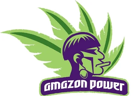 the-brand-of-amazon-power.jpg