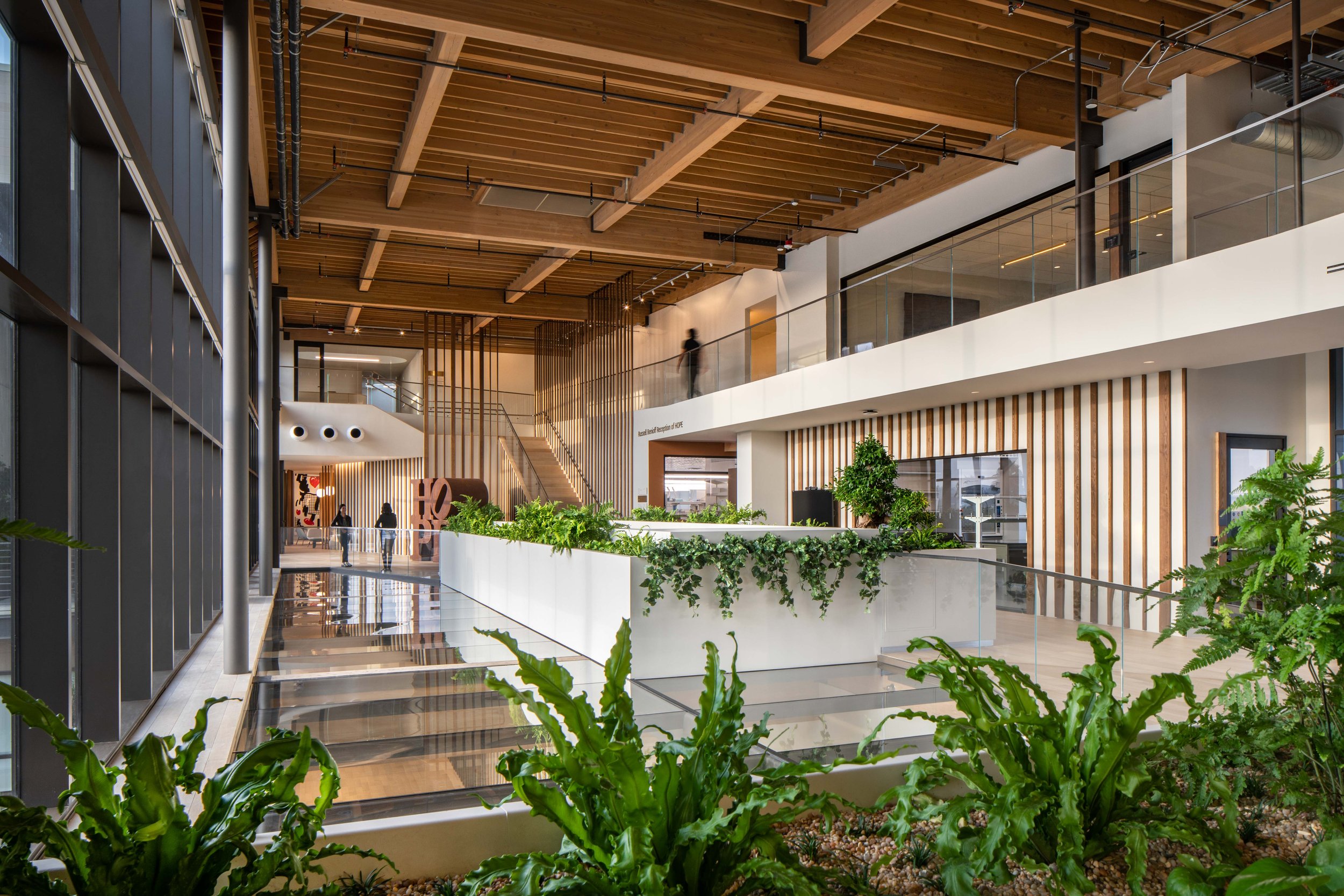 Lawrence J Ellison Institute 