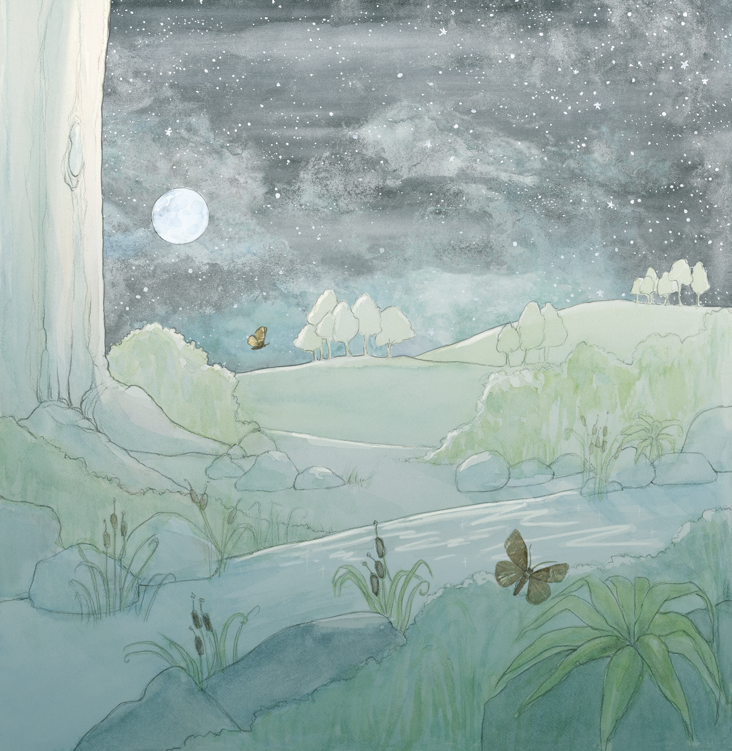 Rakali of the Riverbank / Endpapers