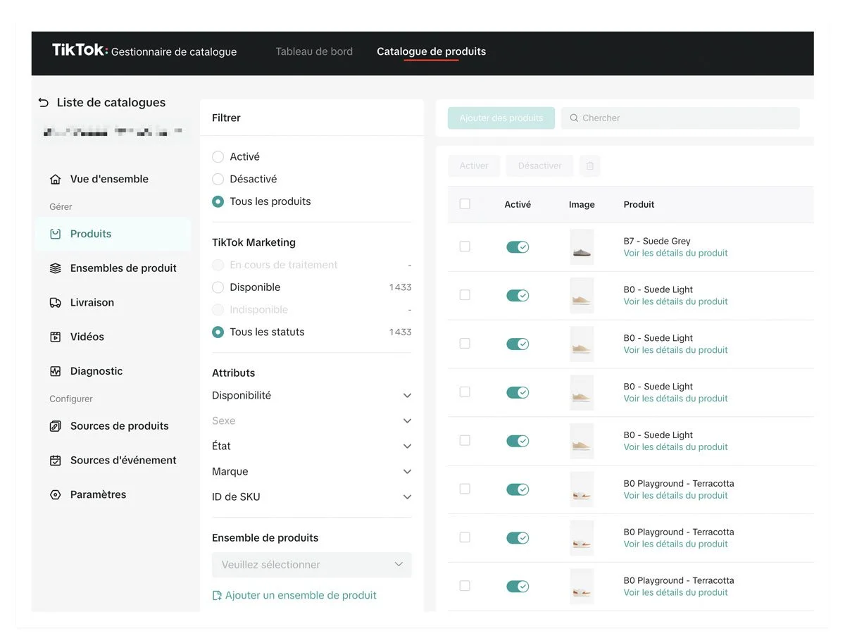 Tiktok Ads Catalogue