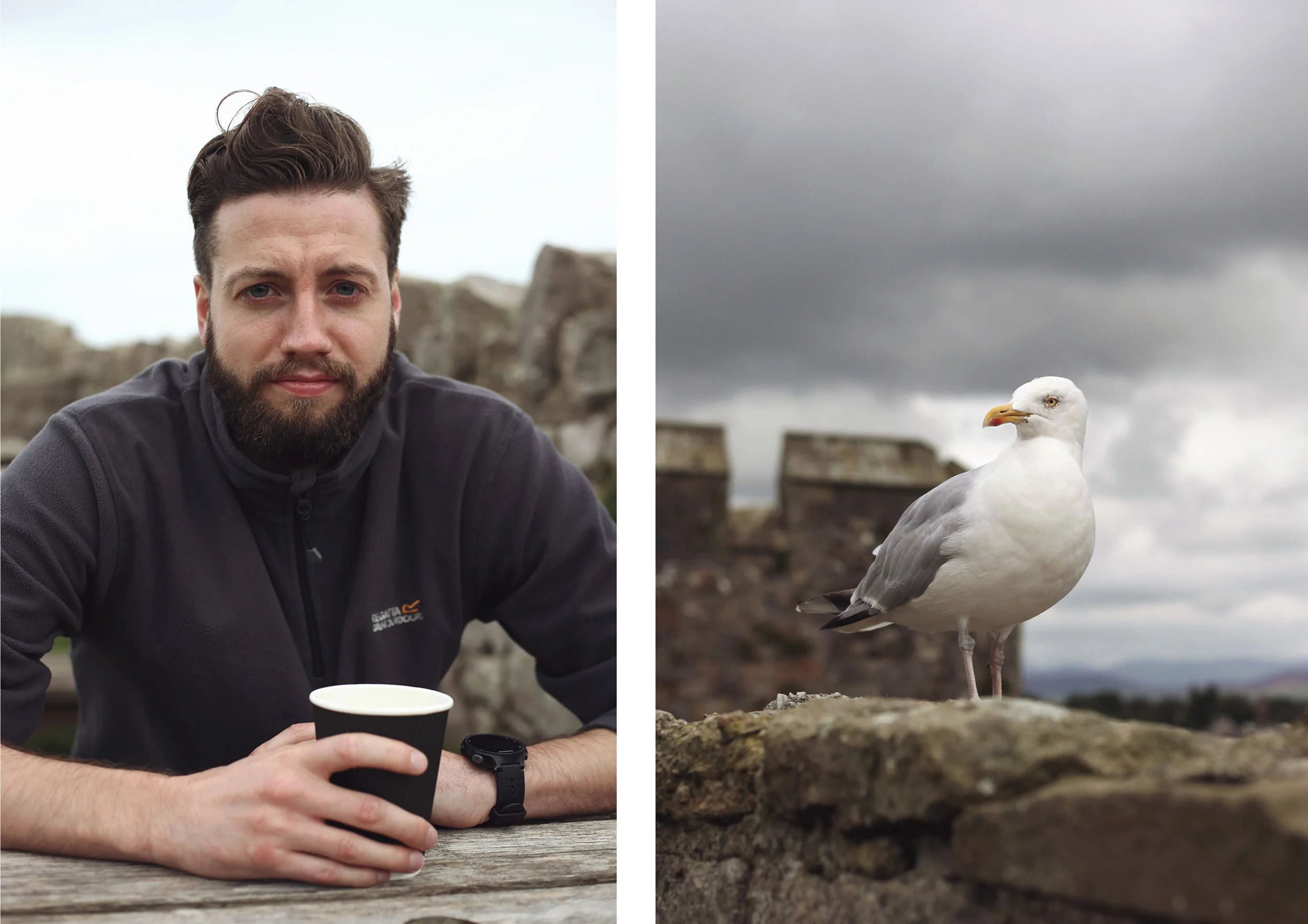 Alexbird.jpg