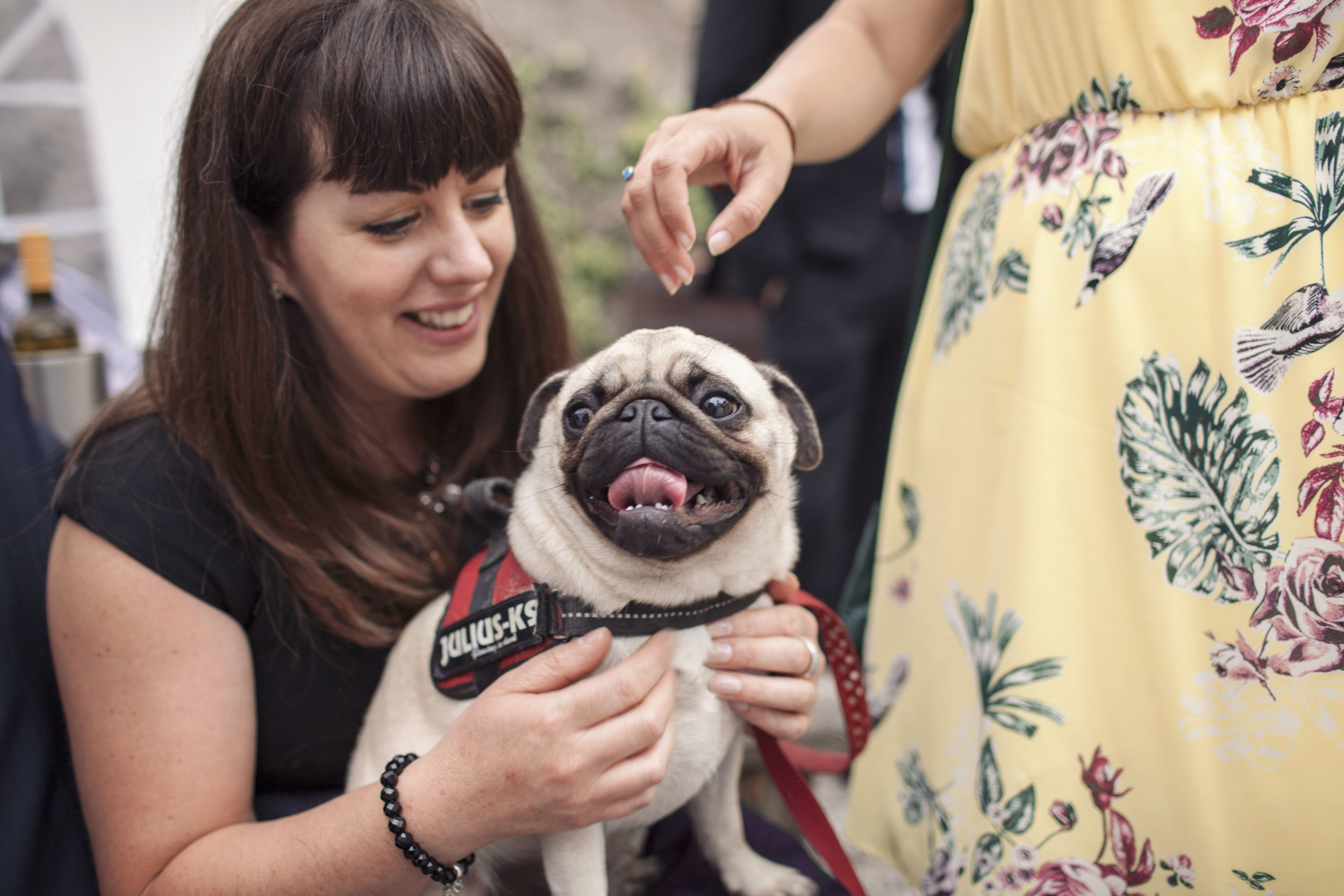Dogs at wedding in Leeds photography
