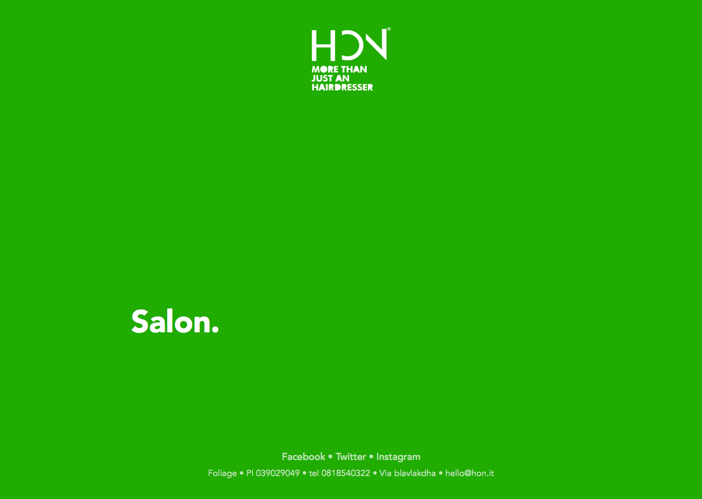 Intro Salon hover.png