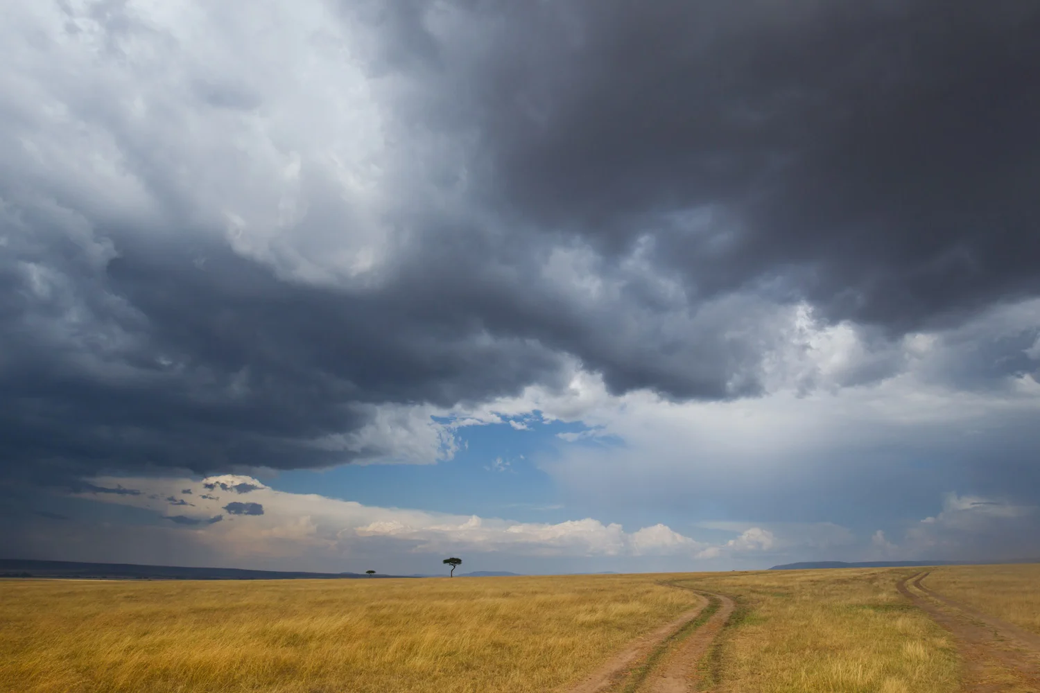 They'll want to know what the weather's like, as well as how to pack. Image: Andrej Kubik