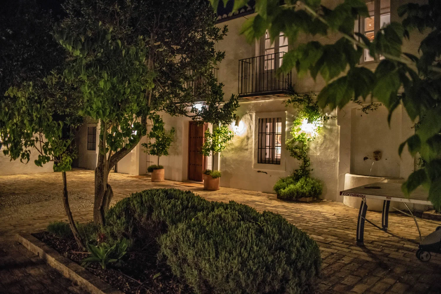 courtyard at night.jpg