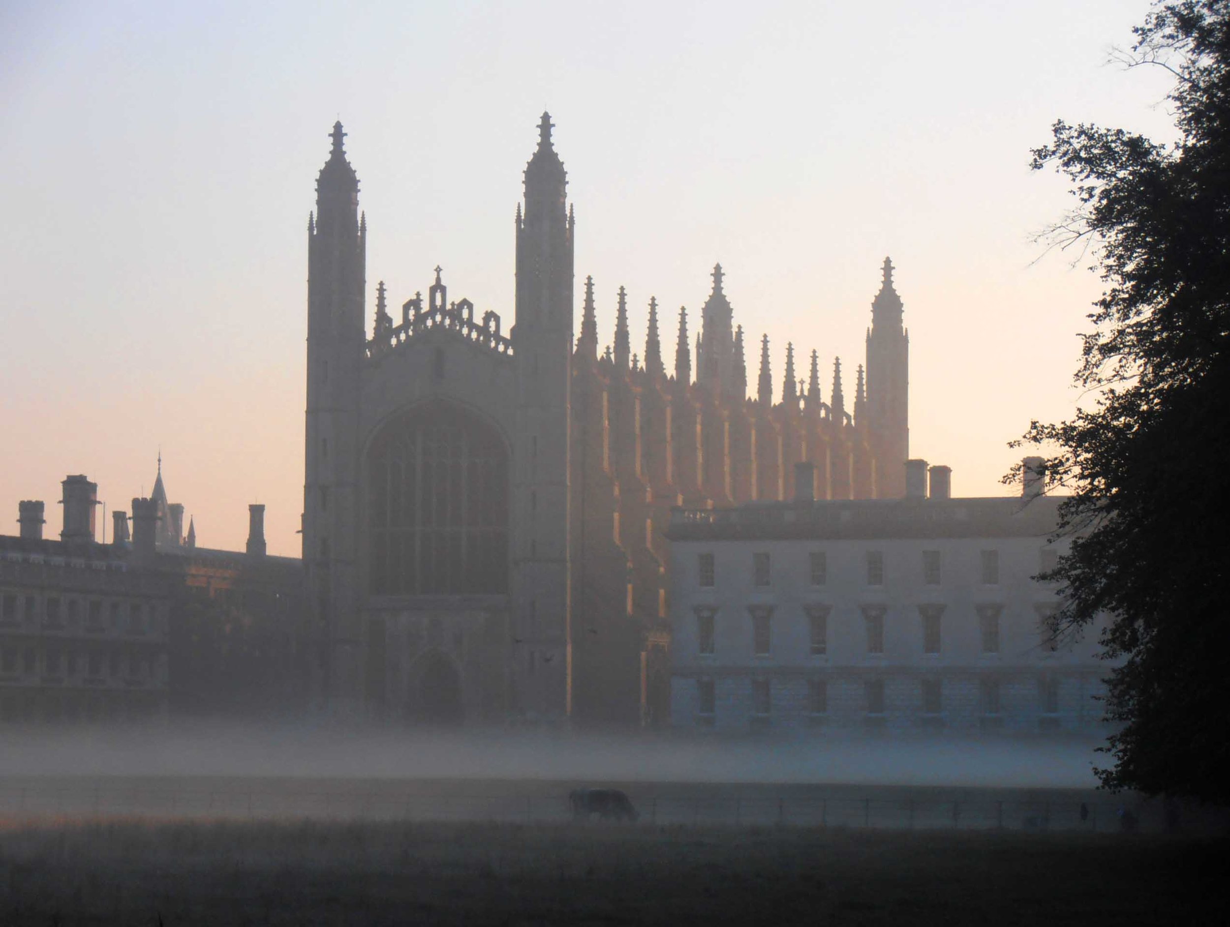  King's College 