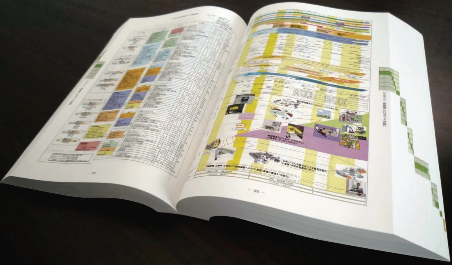  Japanese METI roadmap, Tokyo, 2005 