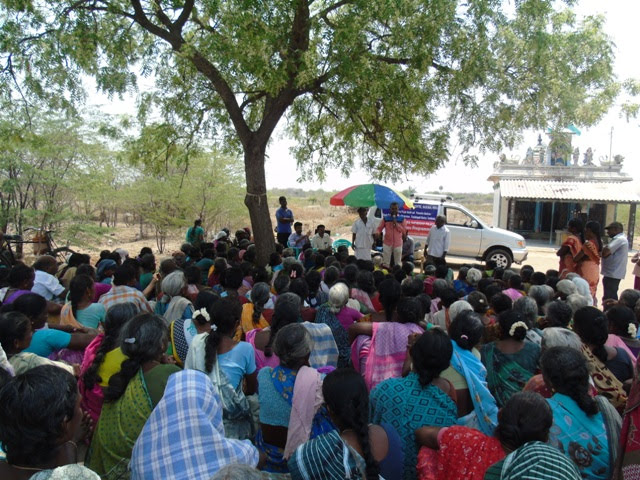 India under tree.jpeg