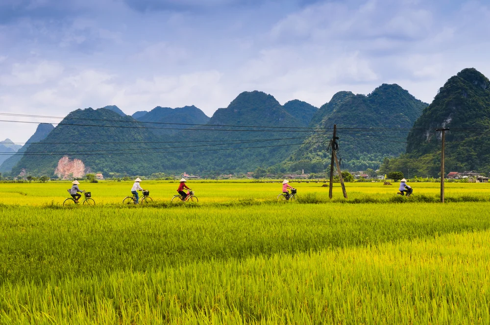 Vietnam-Bike-Tours.jpg