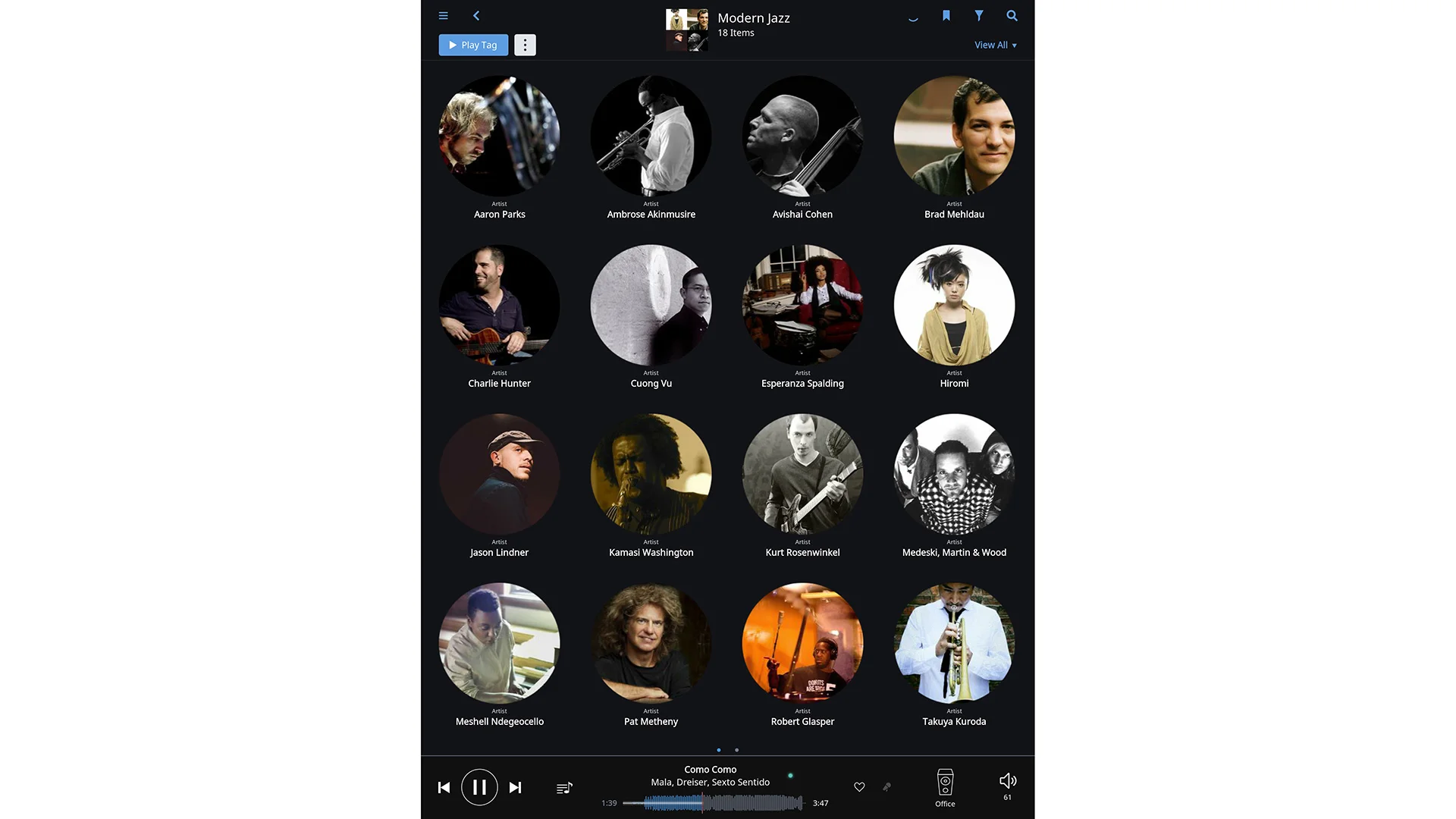 Copy of Roon software screen shot (artists)