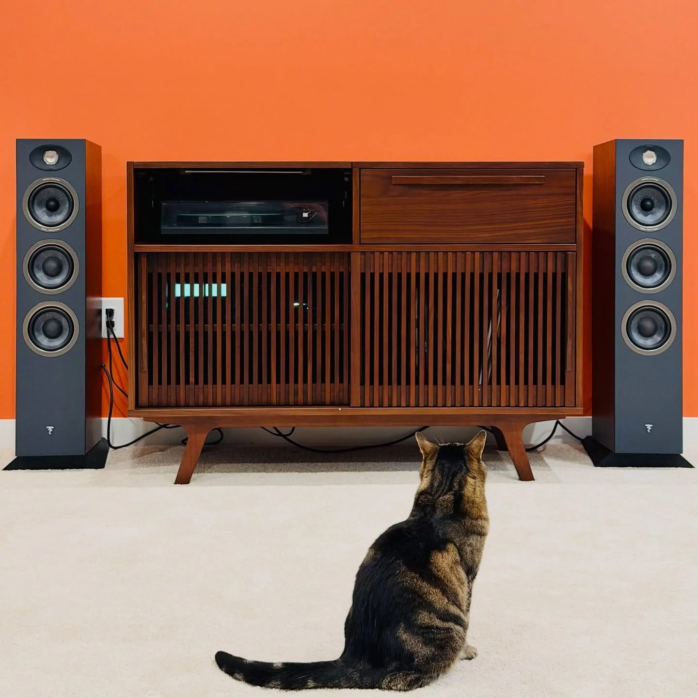 Our client&rsquo;s cat, Radish, is enjoying the sounds of his hi-fi.
 
We love this clean setup. Speakers are Focal Theva No. 2 powered by the NAD C 3050 with built-in BluOS streaming, and a Rega RP1 turntable for the record collection.
 
Does your h