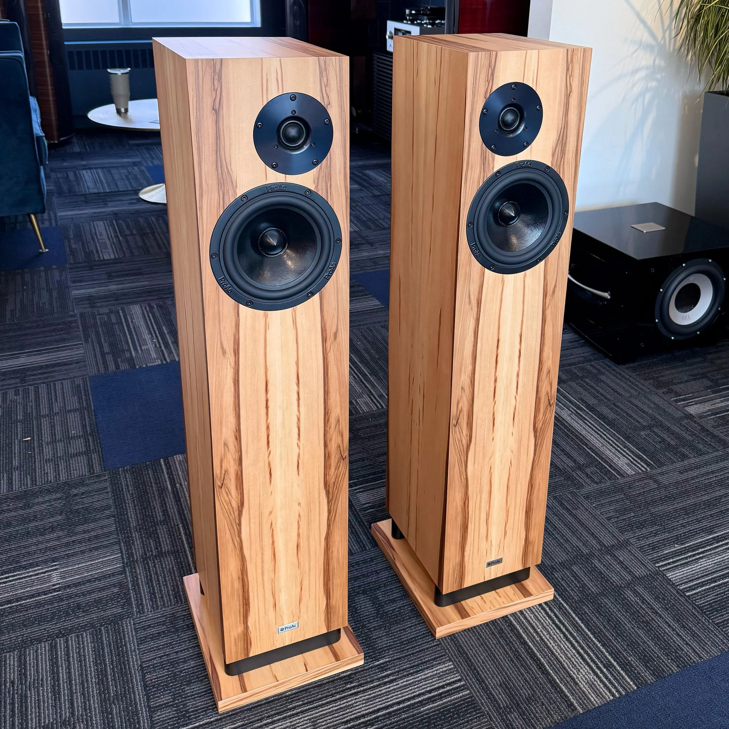 ProAc D30DS floorstanding speaker.