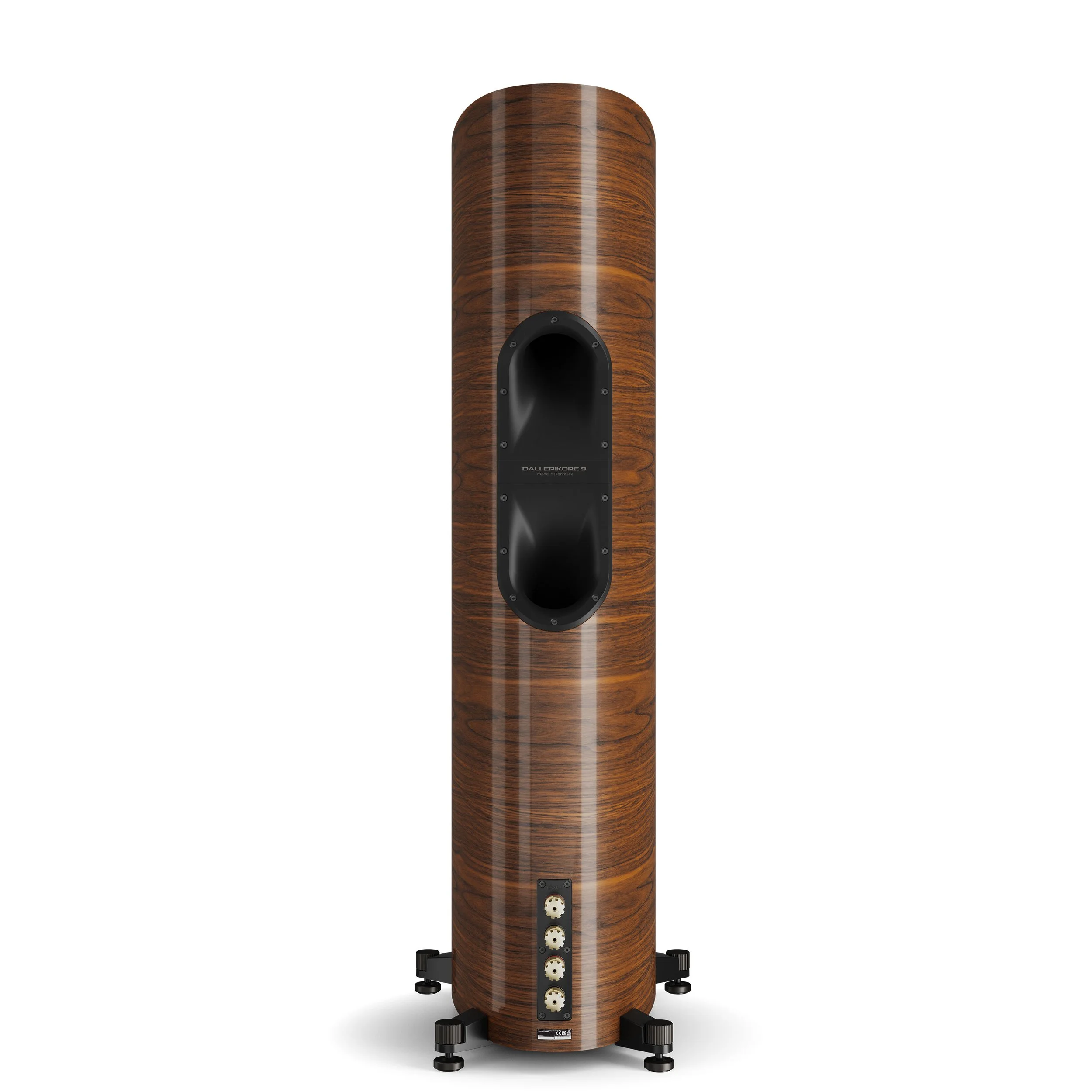 Back view of the DALI Epikore 9 showing rear ports and speaker connectors.