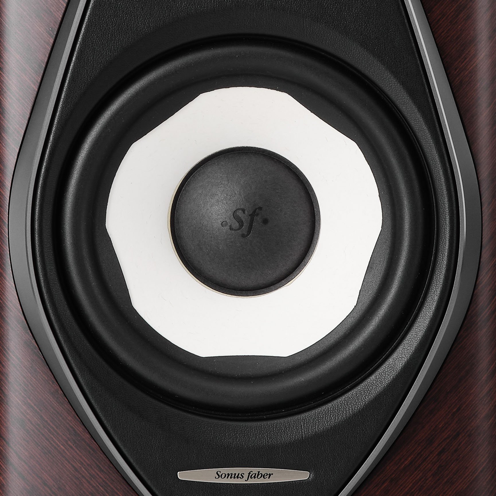 Close-up detail of the Camelia paper midbass driver in the Sonus faber Olympica I G3 bookshelf speaker.