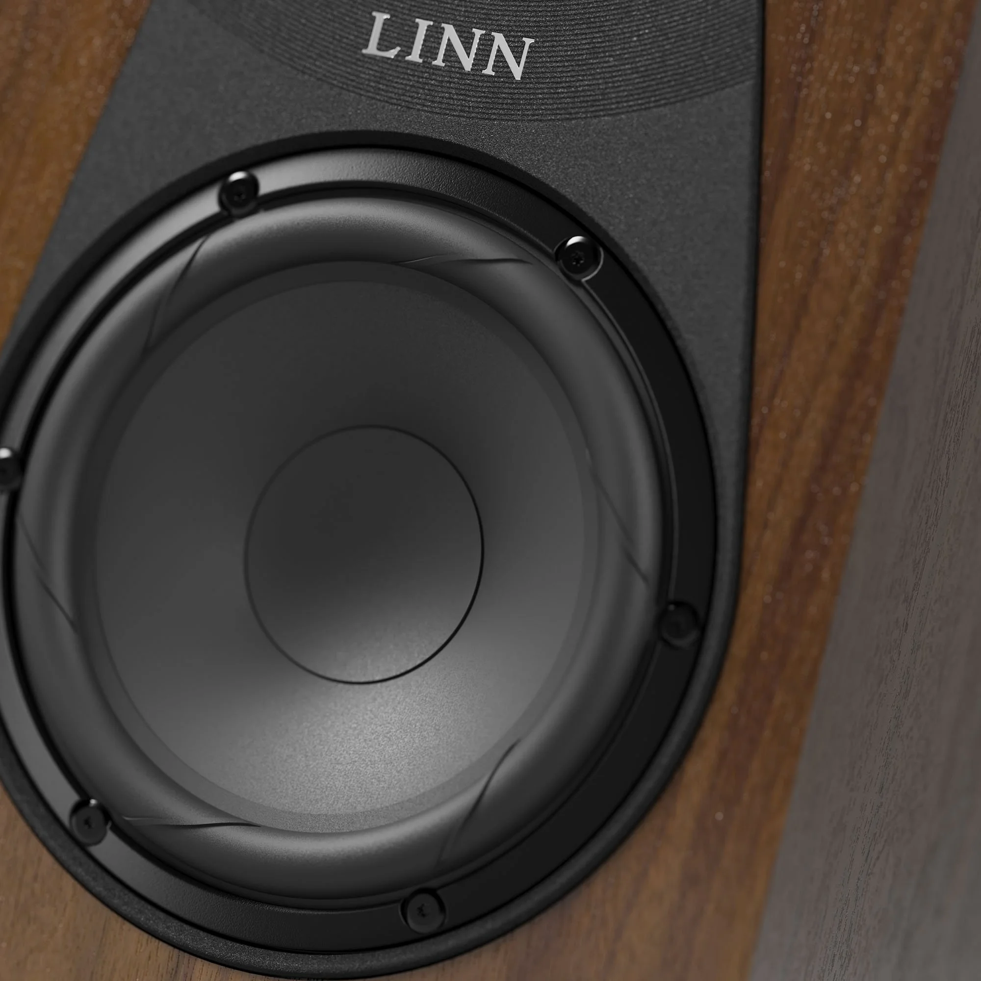 Close-up detail of the woofer in the Linn 119 bookshelf speaker.