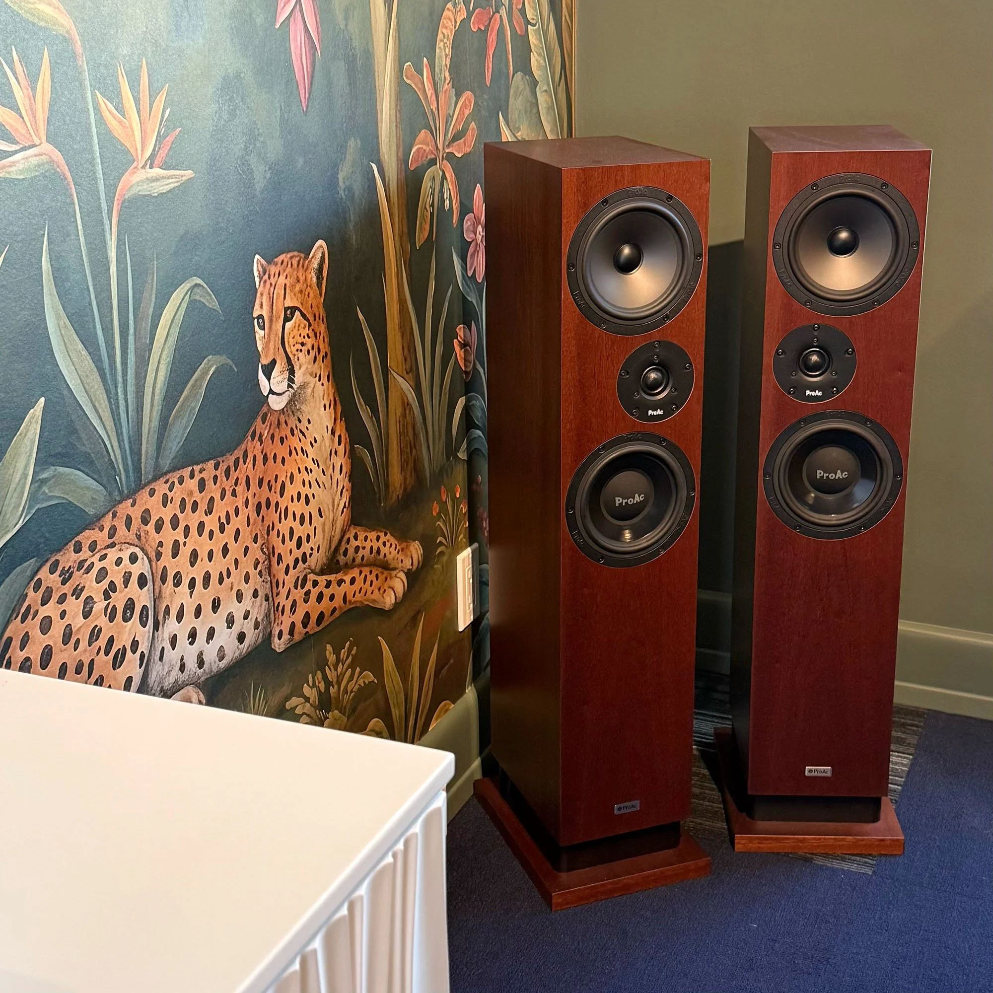 Used ProAc DT8 floorstanding speakers in mahogany pictured in the Creative Audio showroom in Winnipeg.
