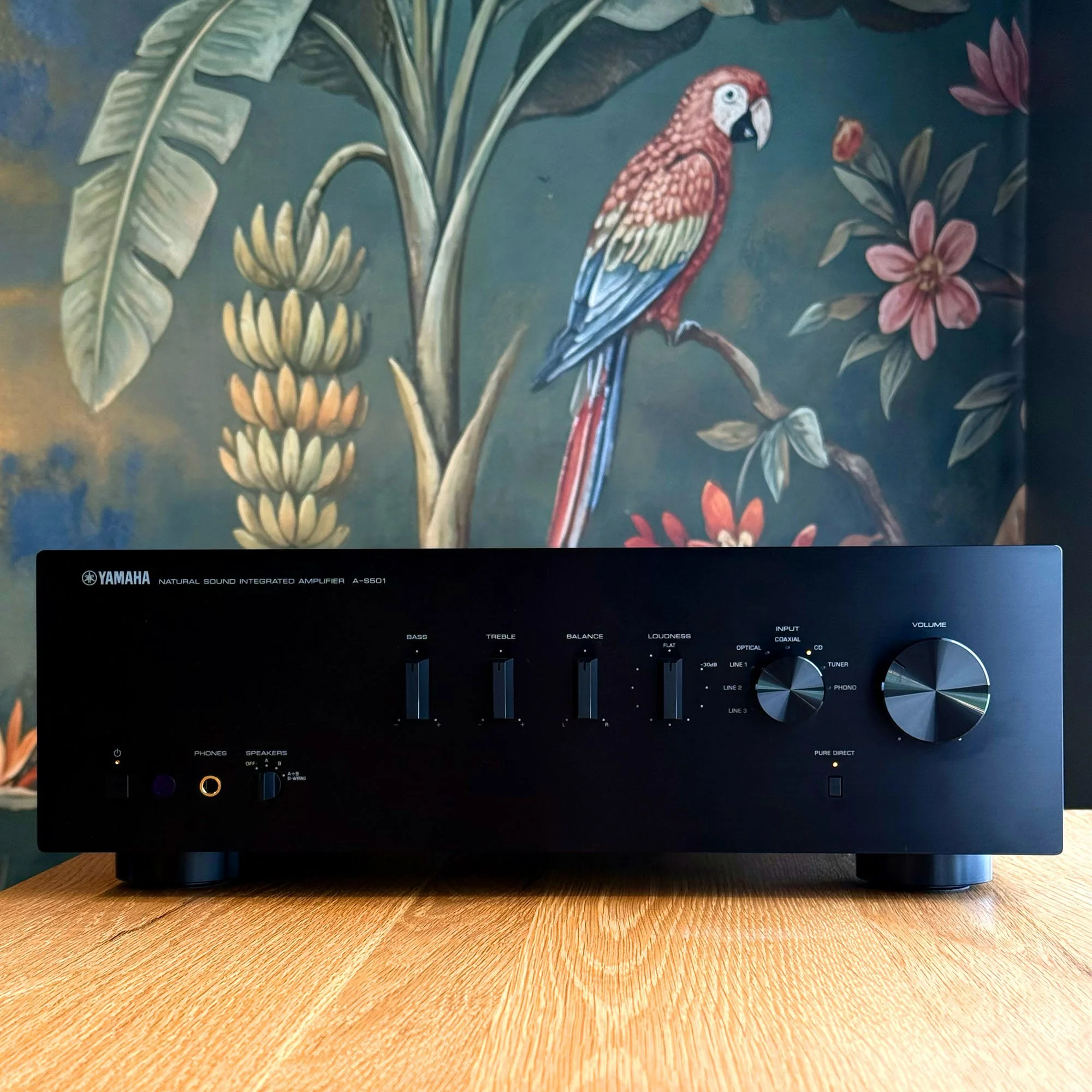 Used Yamaha A-S501 stereo integrated amplifier pictured in the Creative Audio showroom in Winnipeg.