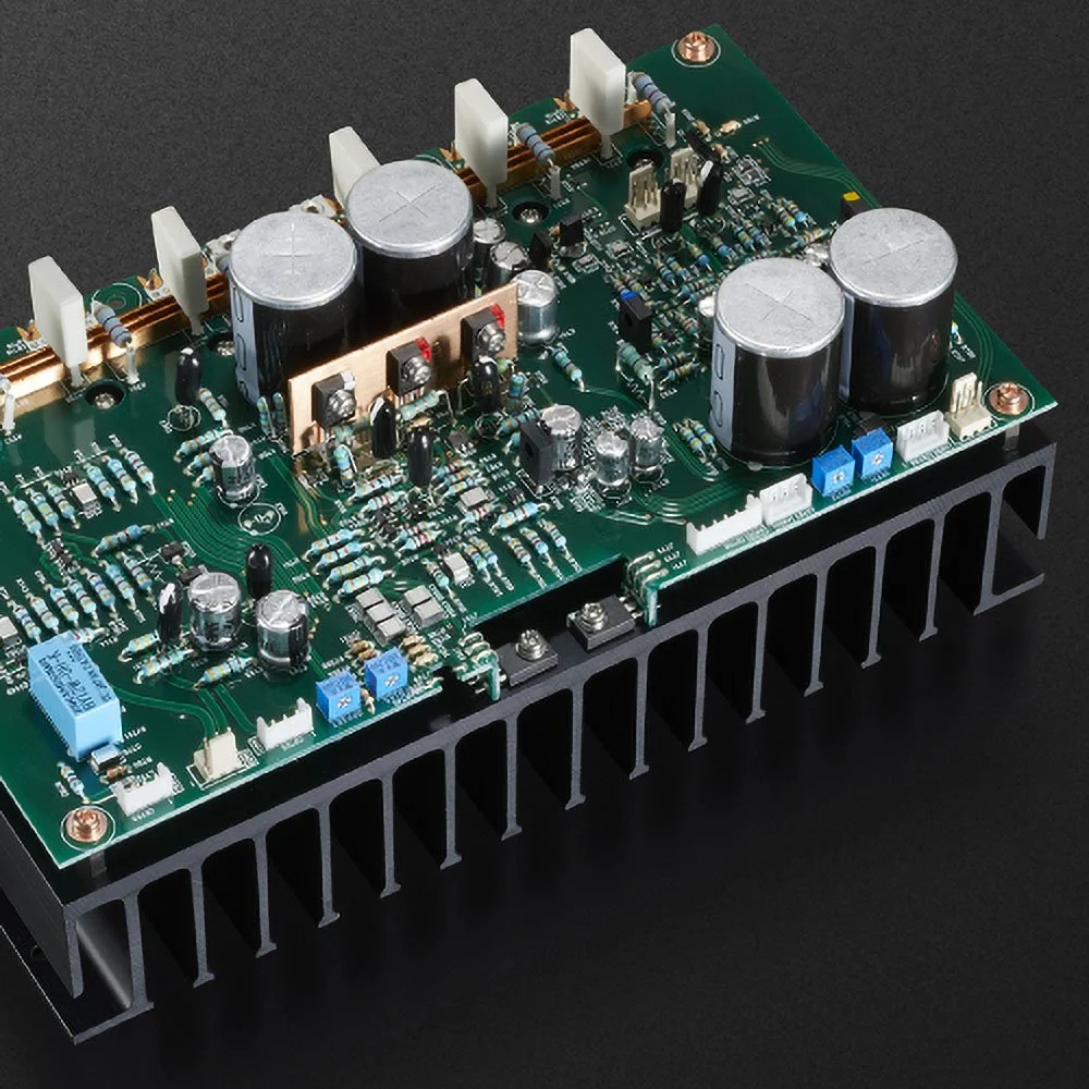 Close-up detail of the LIFES circuitry in the Luxman L-100 Centennial.