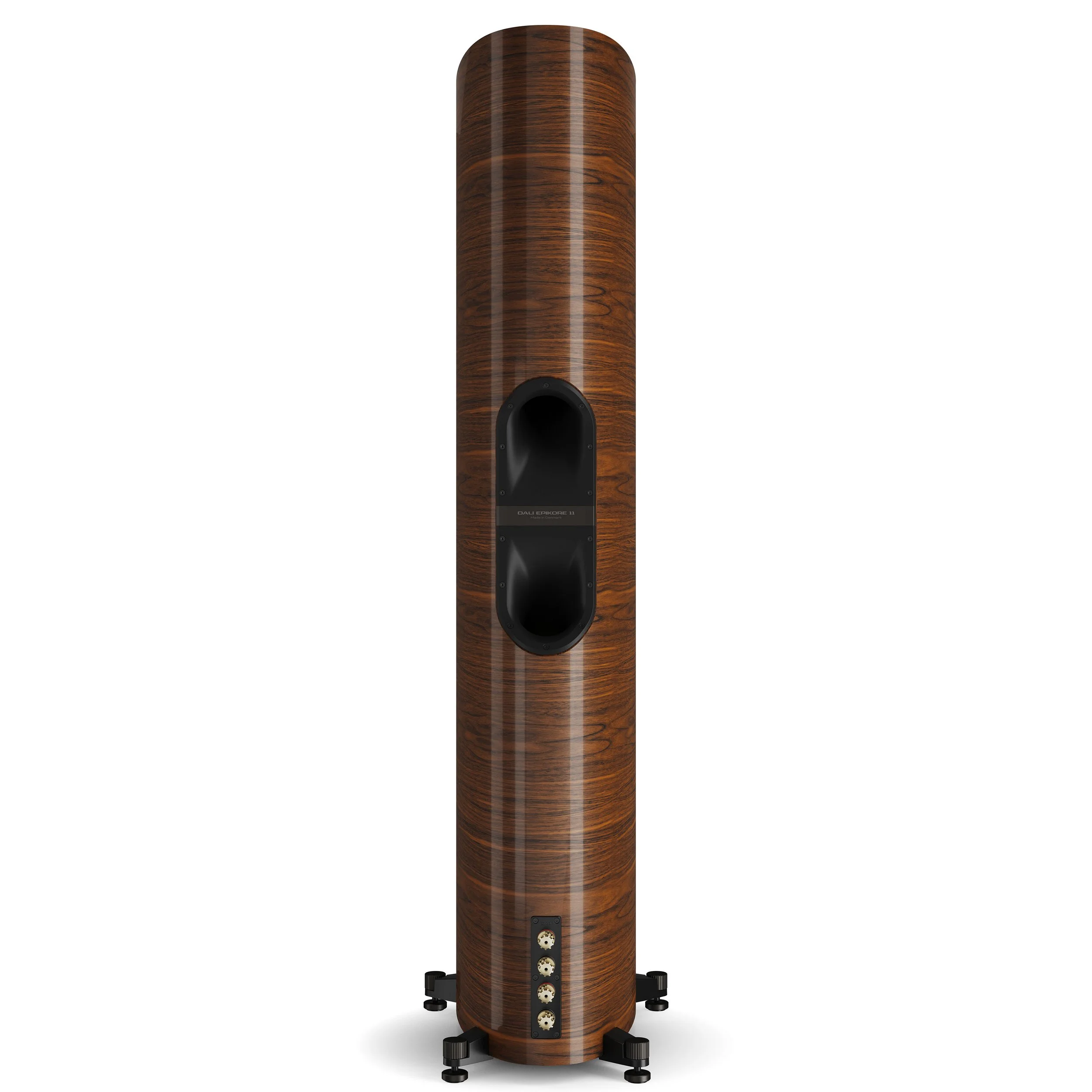 Back view of the DALI Epikore 11 showing rear ports and speaker connectors.