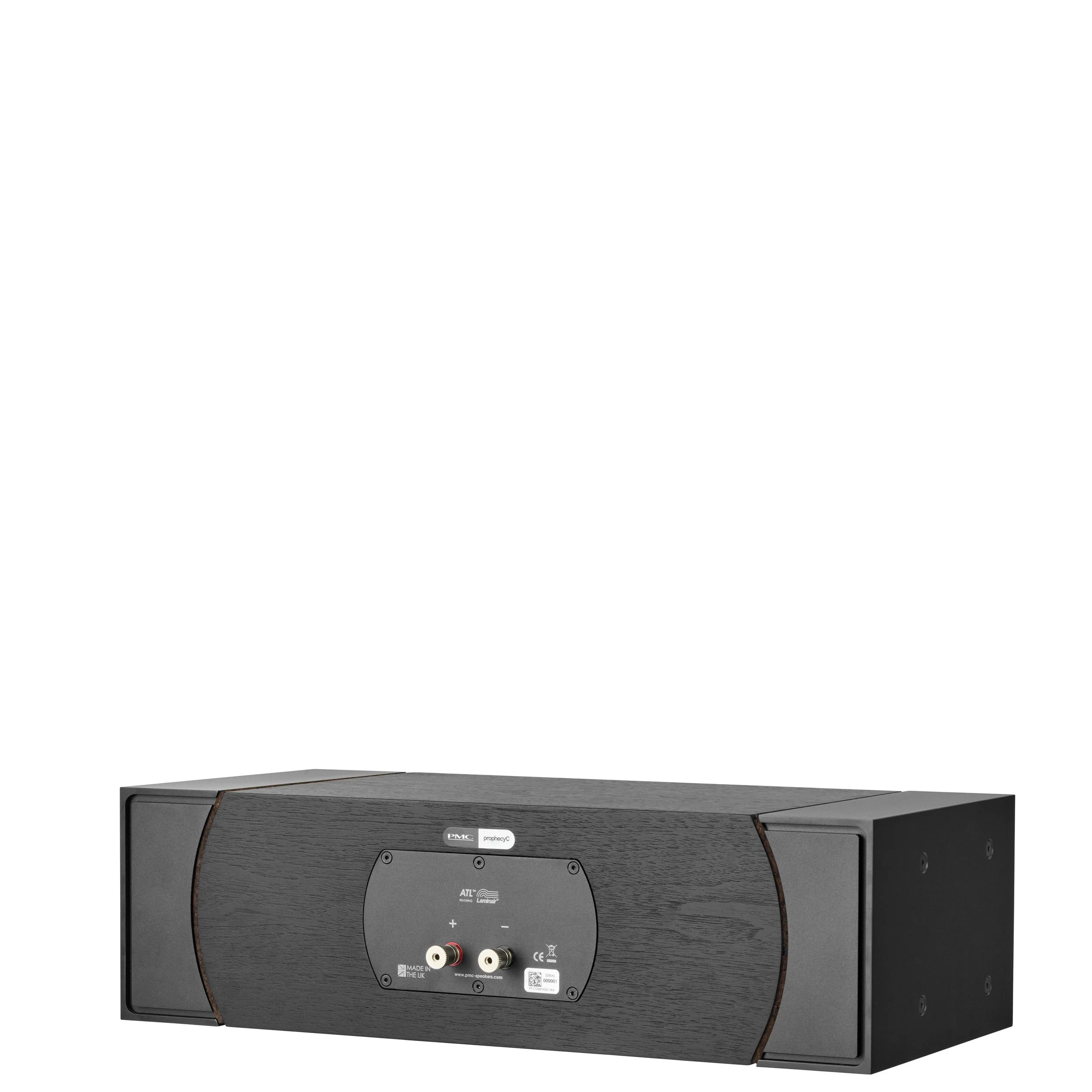 Back view of the PMC prophecyC showing speaker connectors.