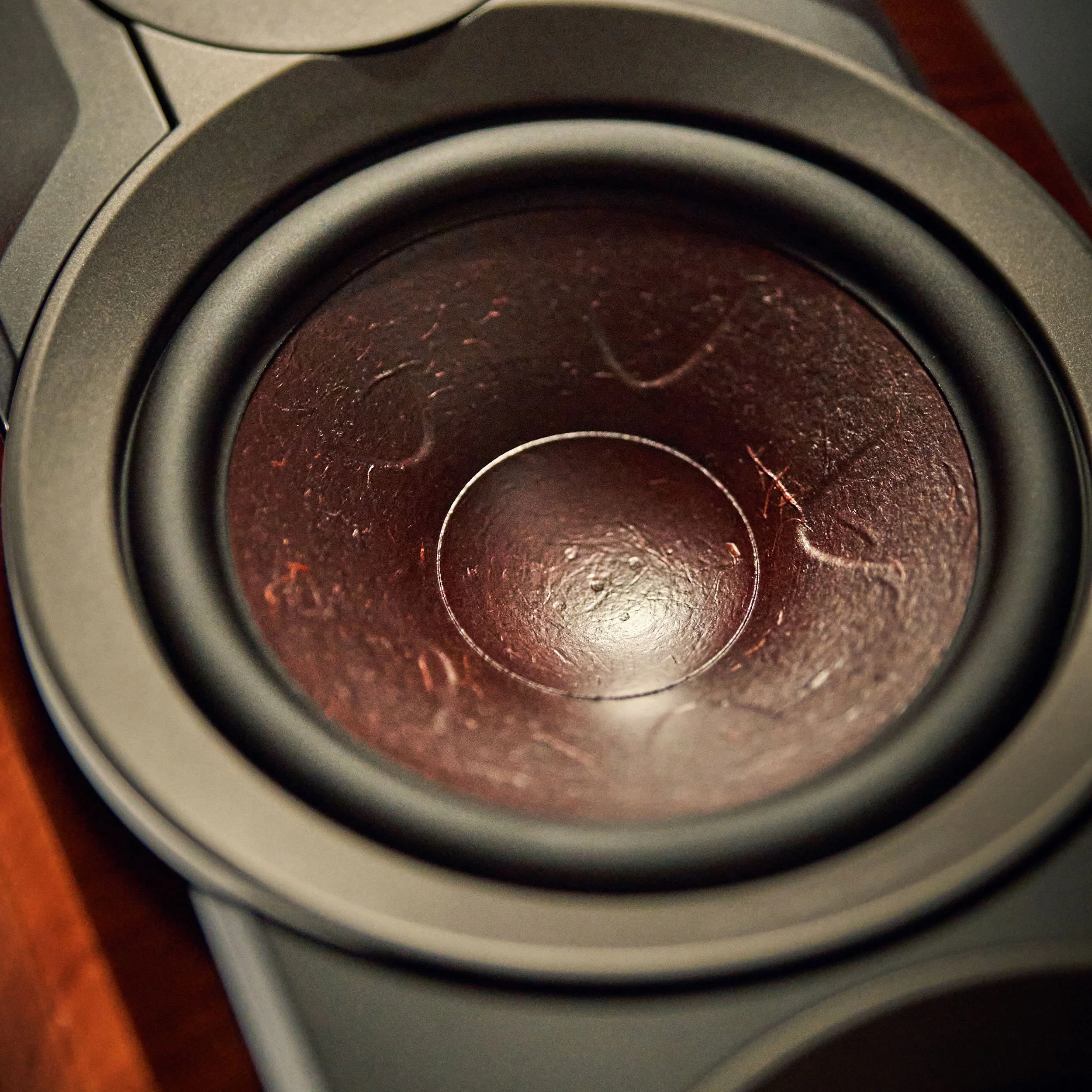 Close-up detail of the Clarity Cone driver in the DALI Epikore series of luxury high-end speakers.